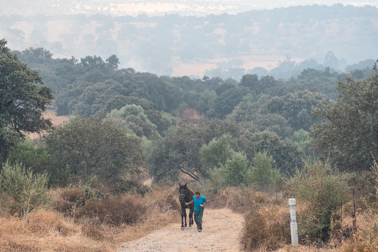 Imágenes del corte de la A-478