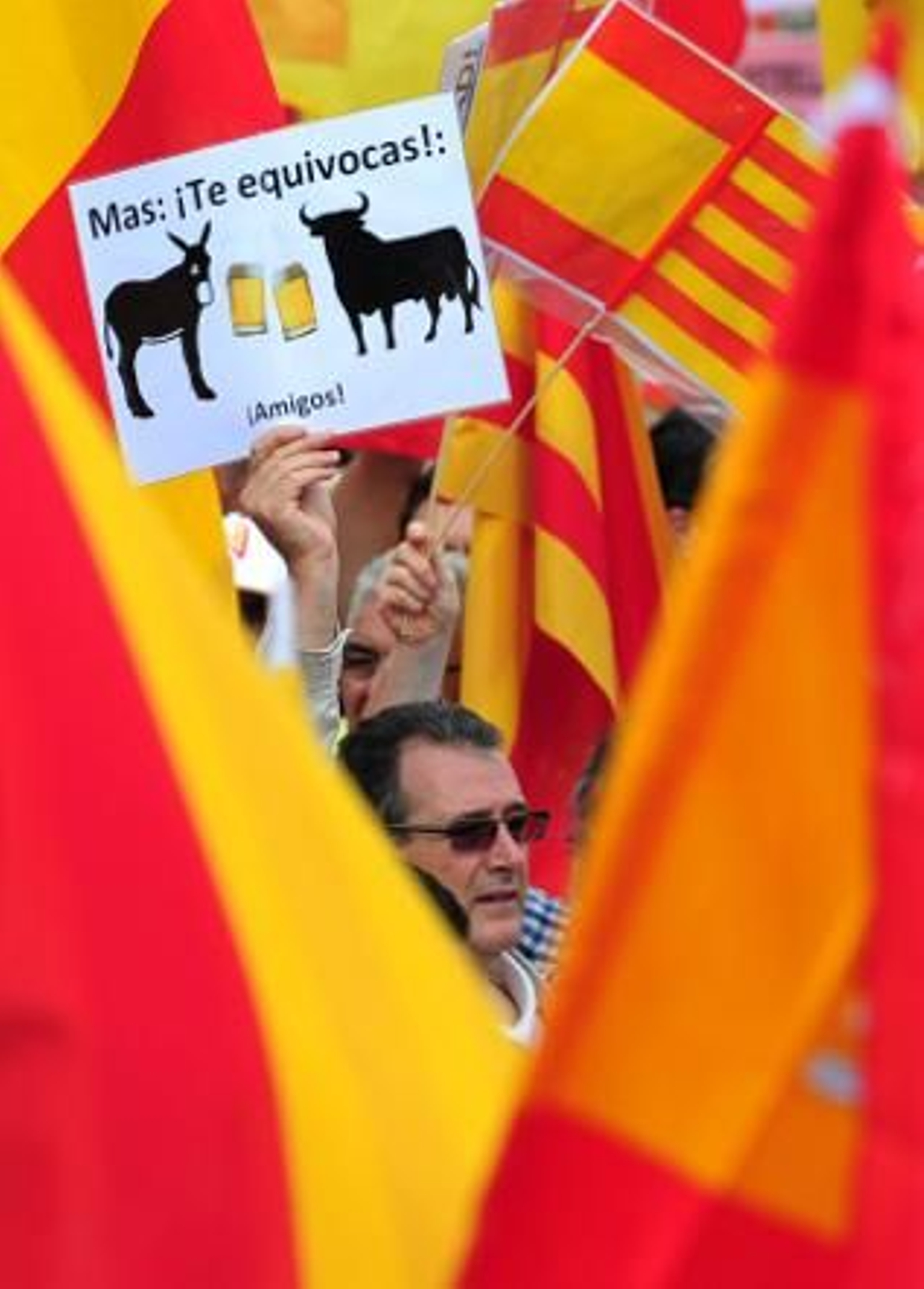 Miles de personas secundan la concentración contra la independencia de Cataluña