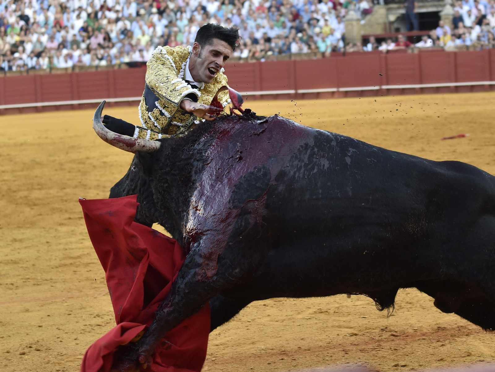 La segunda corrida de la Feria de San Miguel, en imágenes