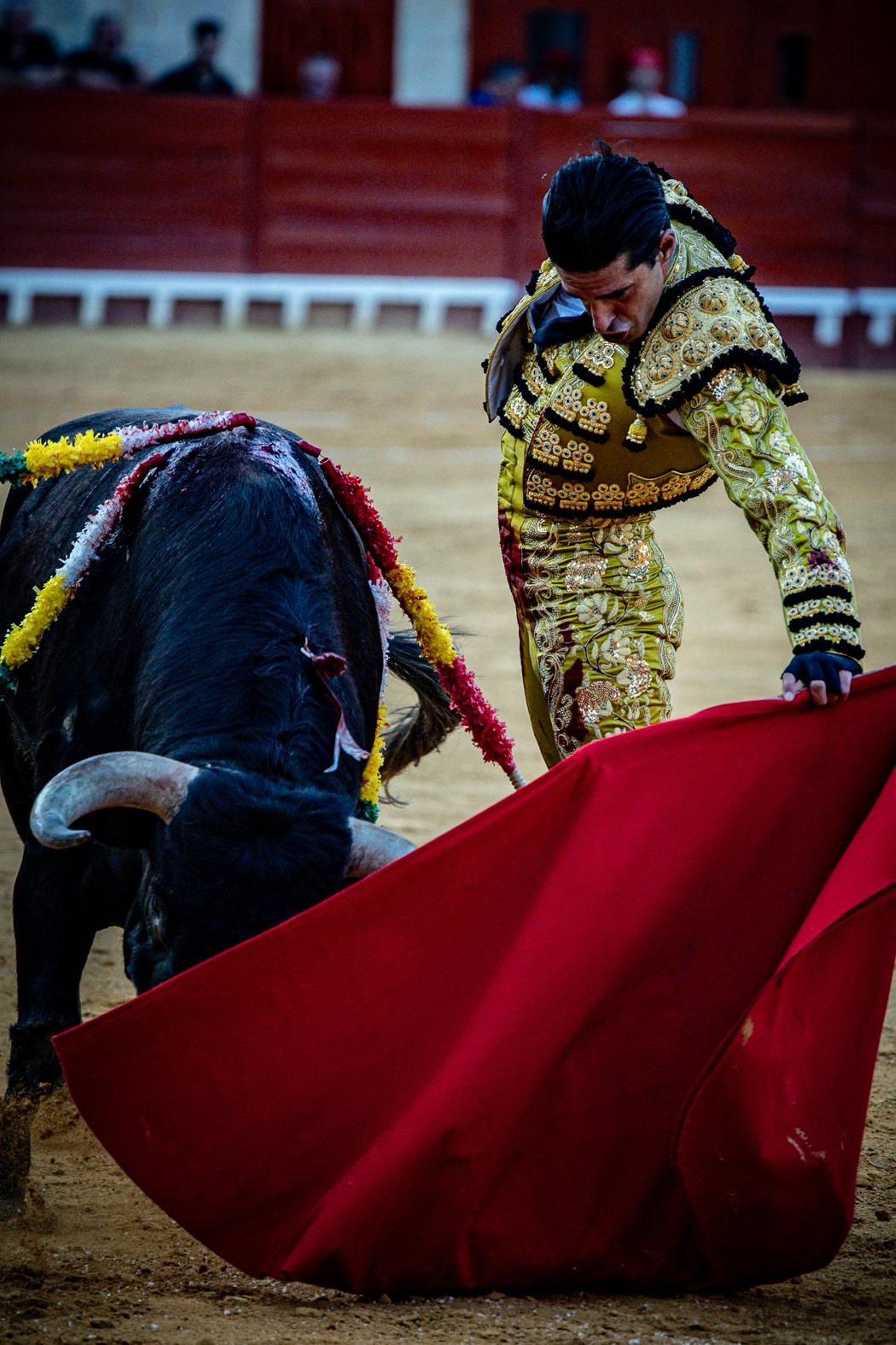 Las imágenes de la corrida de toros en El Puerto: Morante, Talavante y Juan Ortega