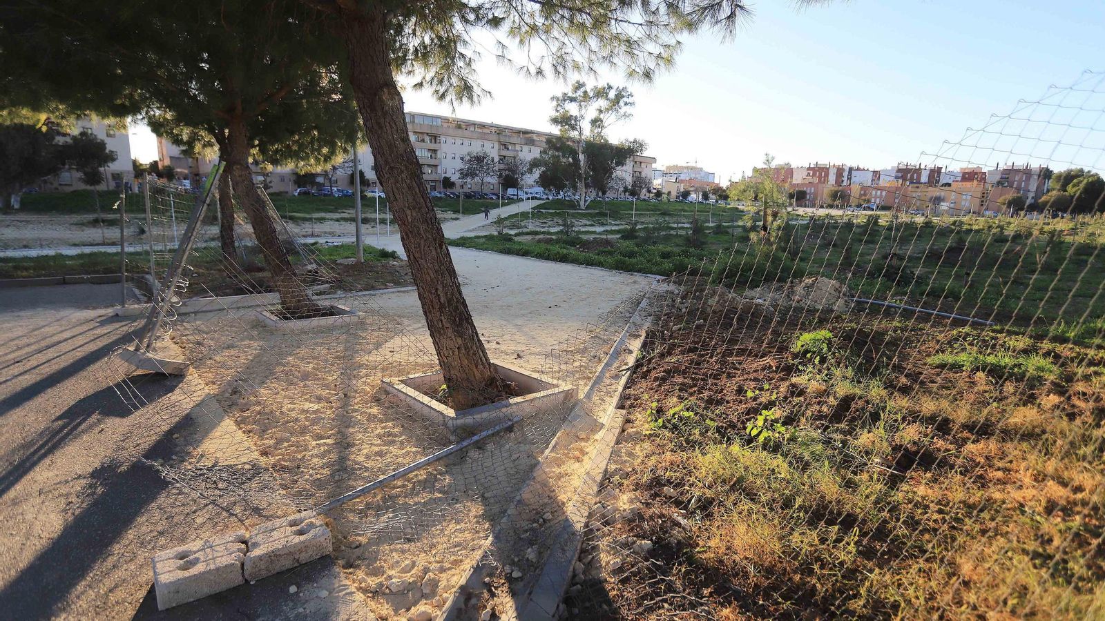 El bosque urbano, visto desde el parque de la Canaleja.