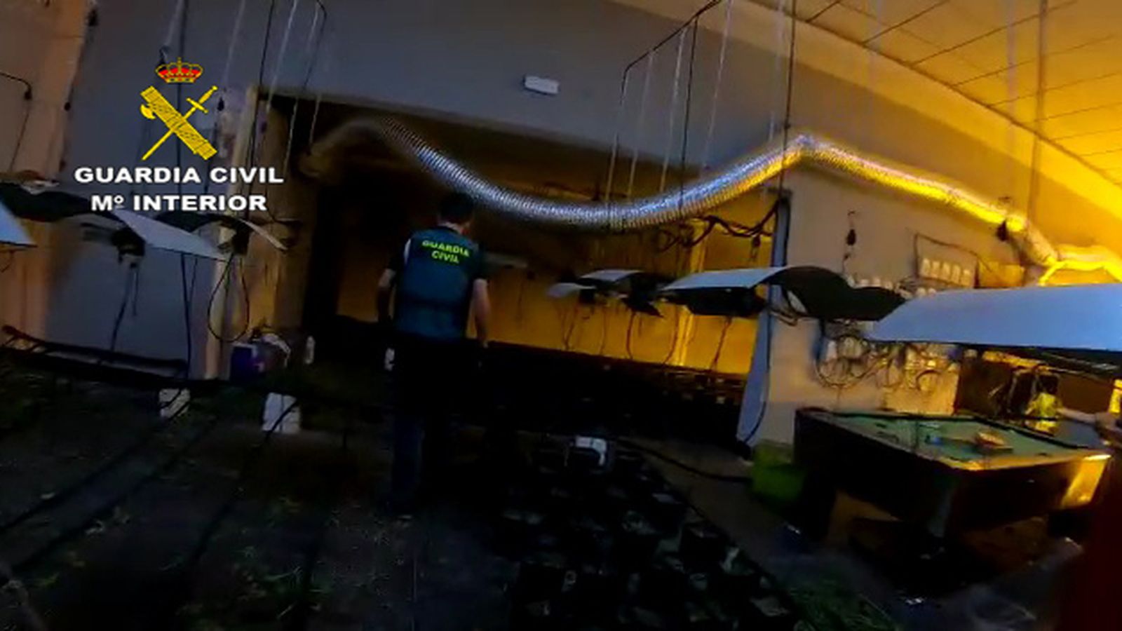 Un guardia civil, en el interior de la sala de fiestas convertida en narcoinvernadero.