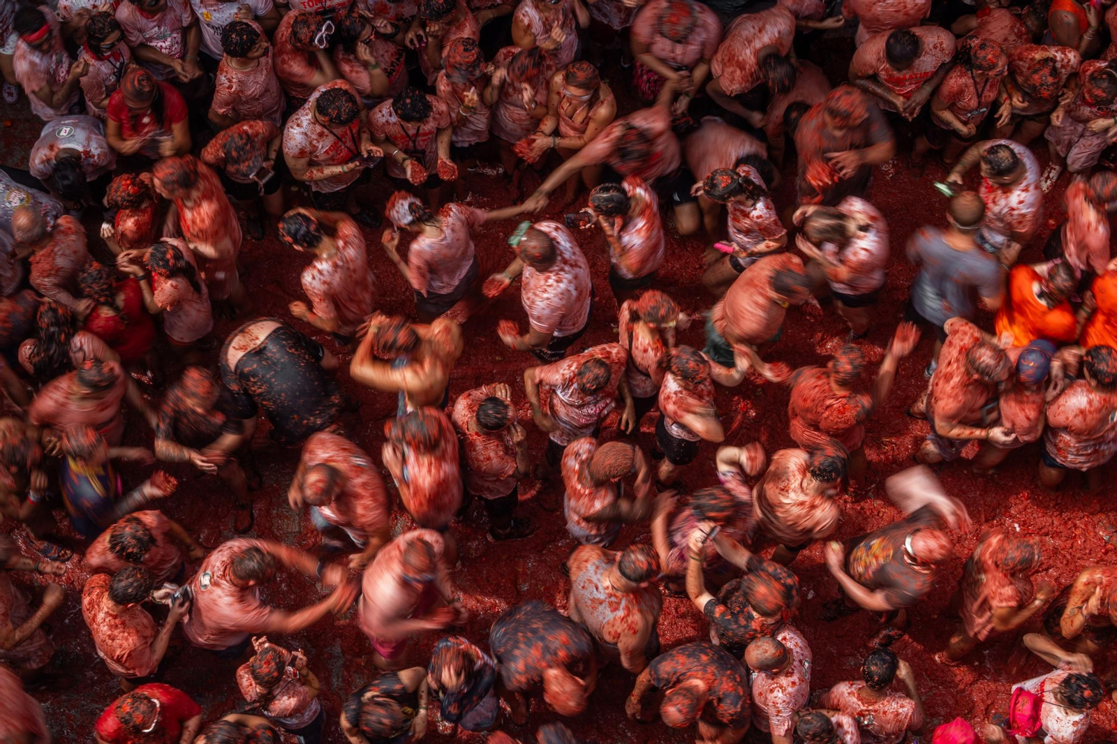 Las mejores fotos de la Tomatina de Buñuel 2025