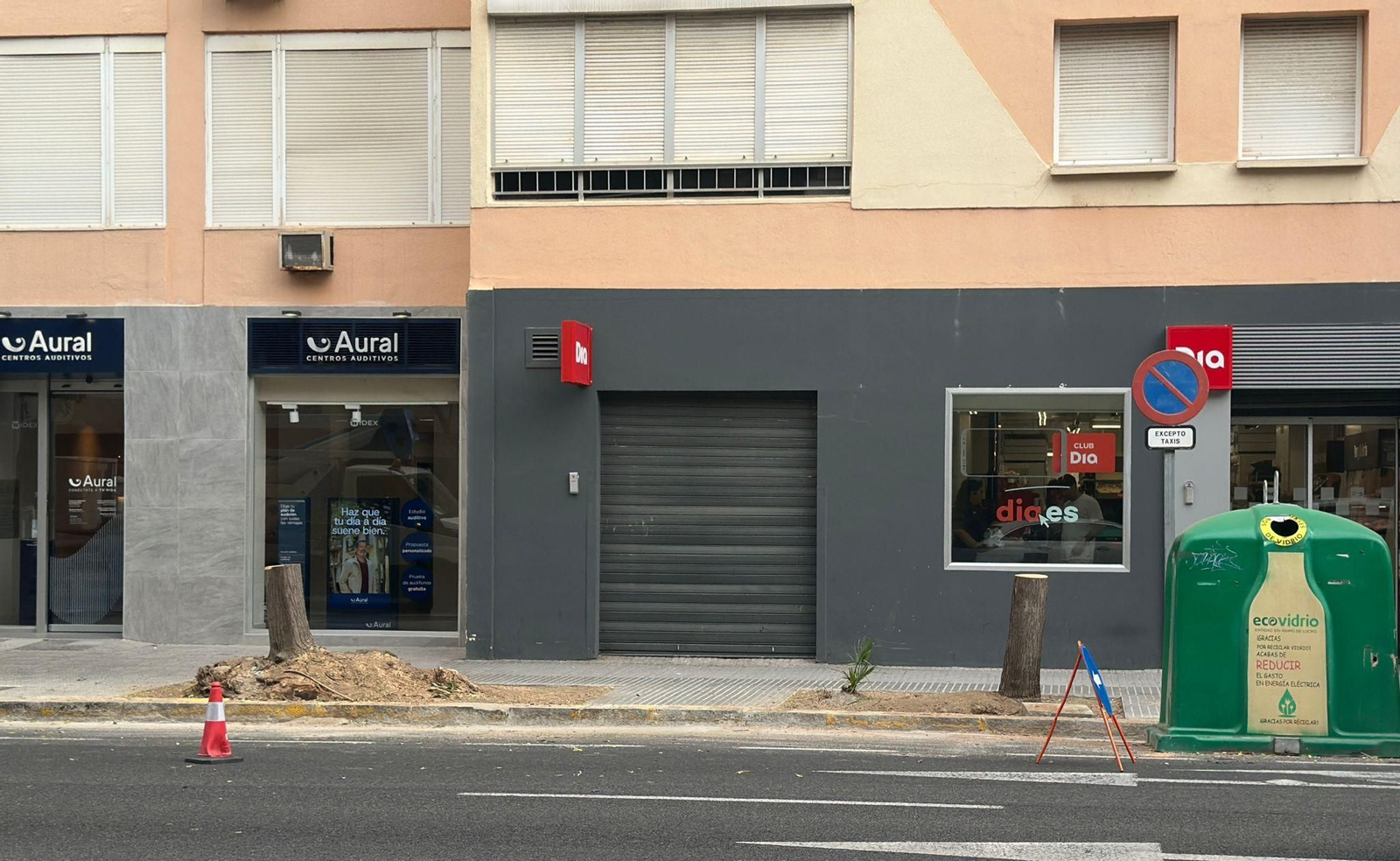 Dos de los tocones de los tres árboles talados ayer en la avenida principal de la ciudad.