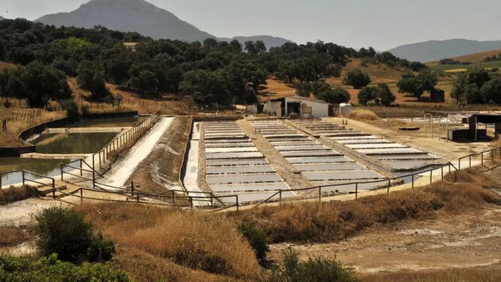 Salinas Romanas de Iptuci