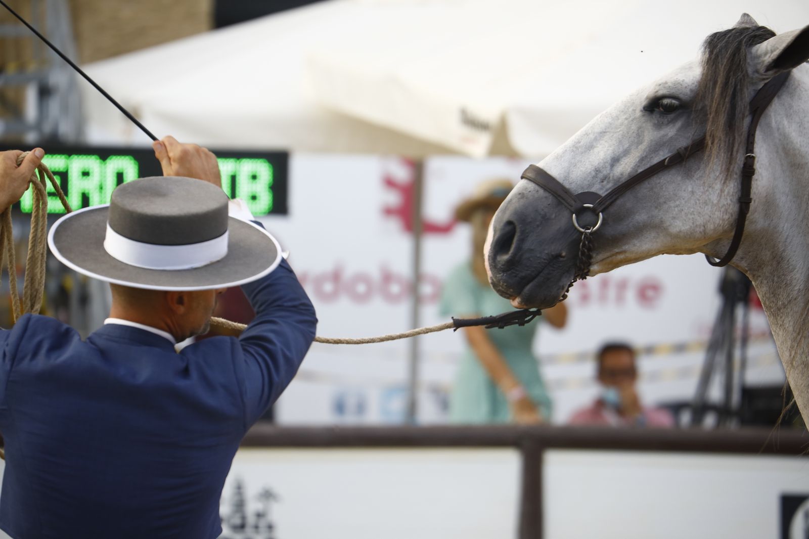 El concurso morfológico de caballos de pura raza de Cabalcor, en fotografías