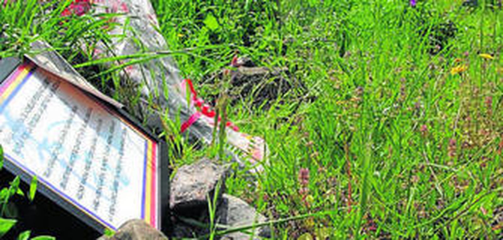 Ofrenda floral en el barranco de La Huesa, en plena Sierra Morena.