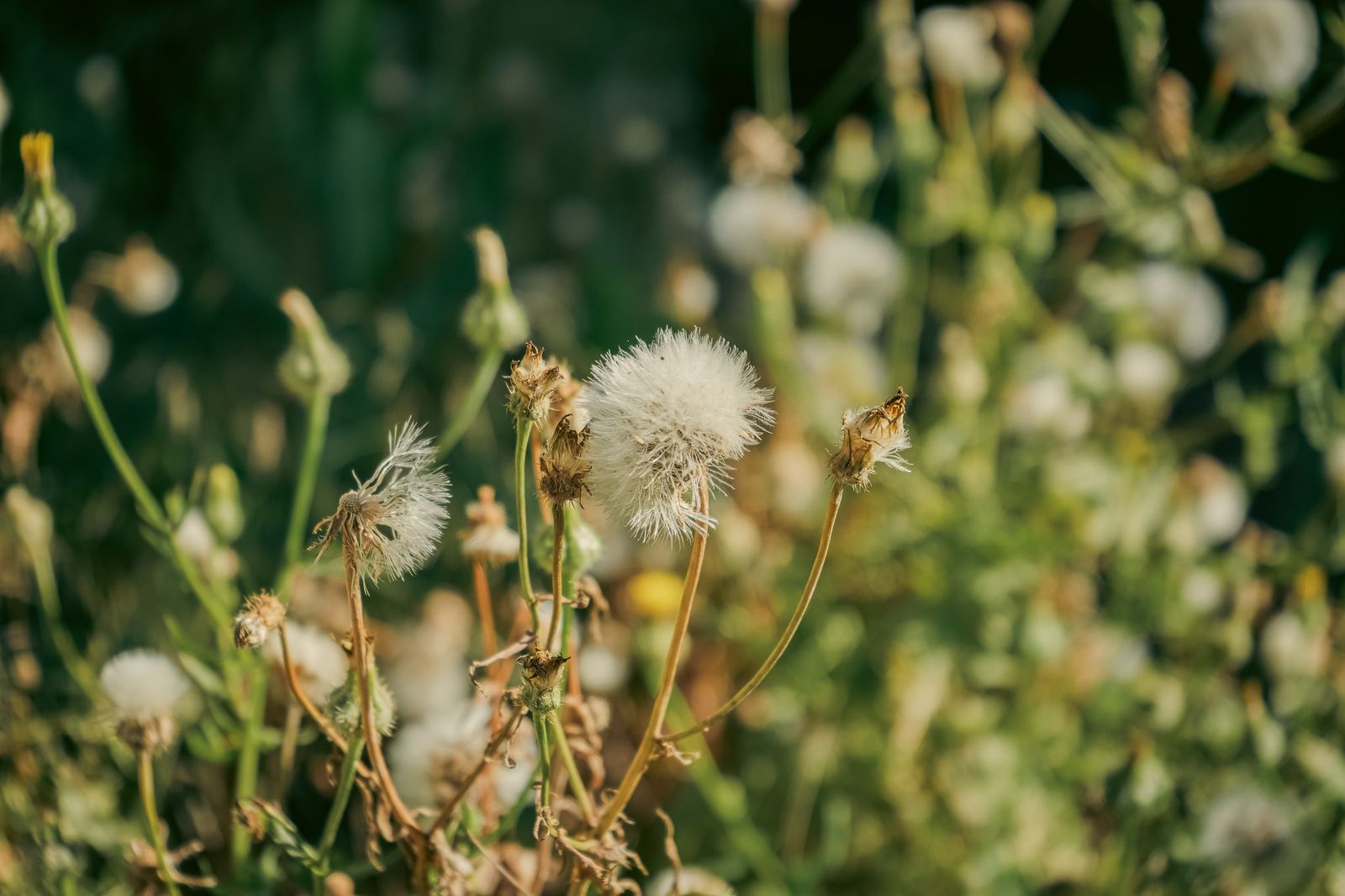Las imágenes más destacadas del miércoles 7 de mayo en Huelva