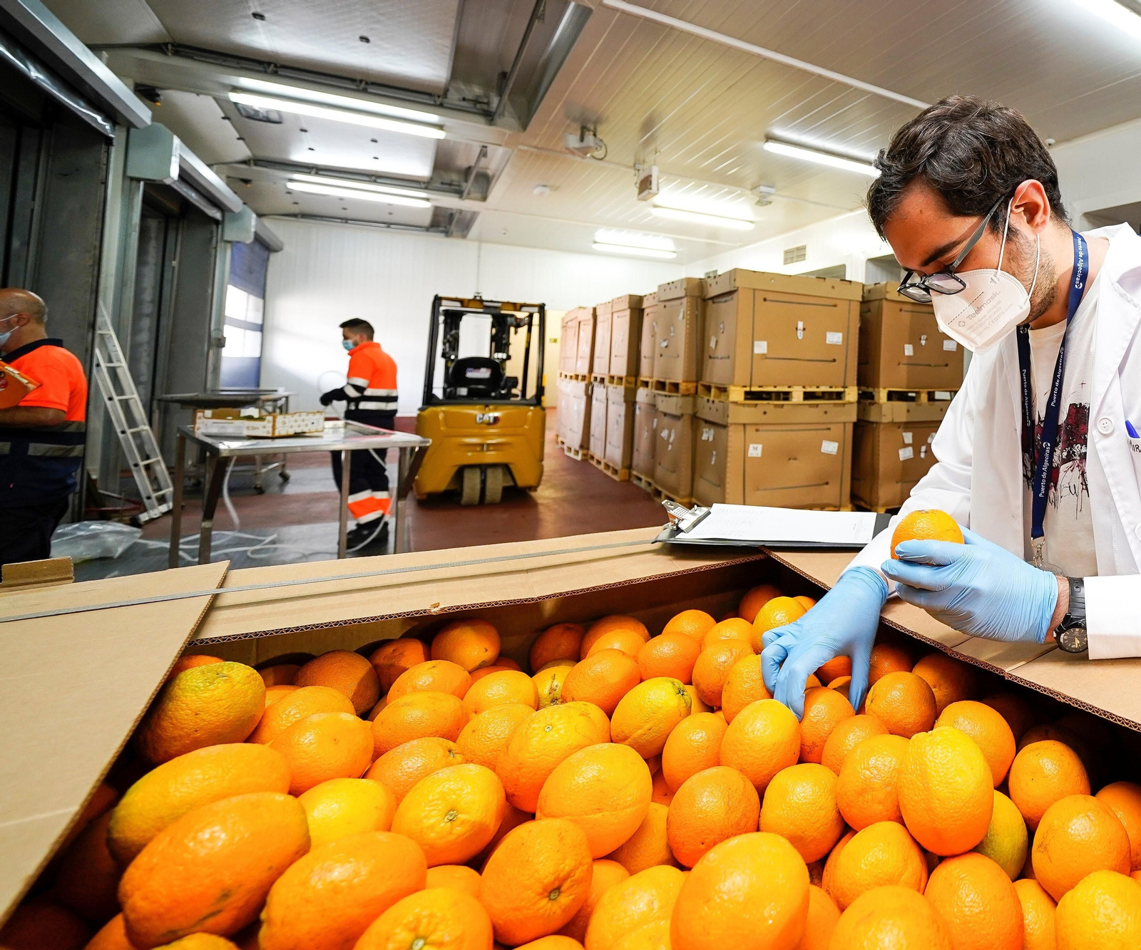 Una inspección de naranjas en el Puerto de Algeciras.