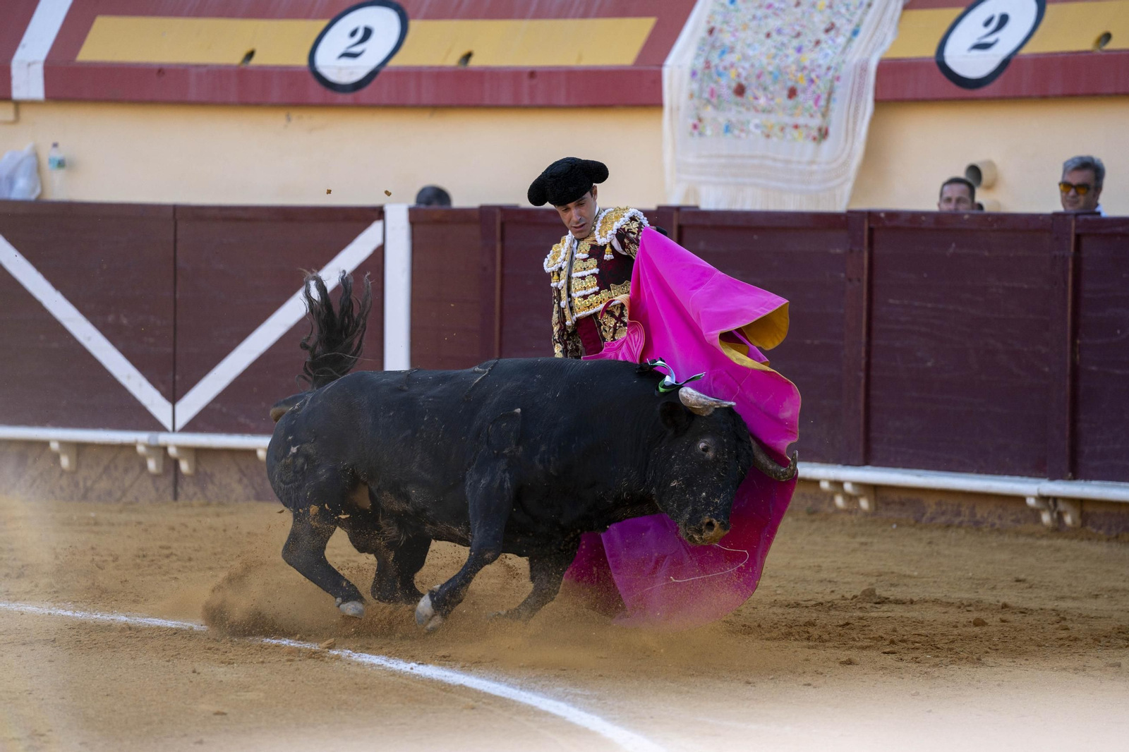 Las imágenes de los toros en Vera