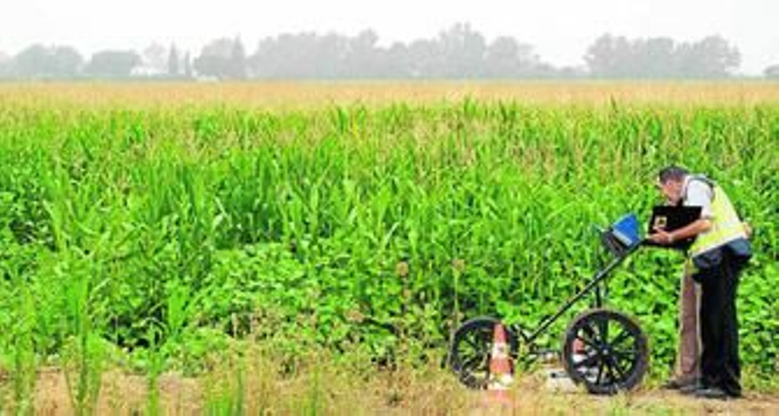 El georradar escanea la zona próxima al maizal de Majaloba, el pasado 15 de julio.