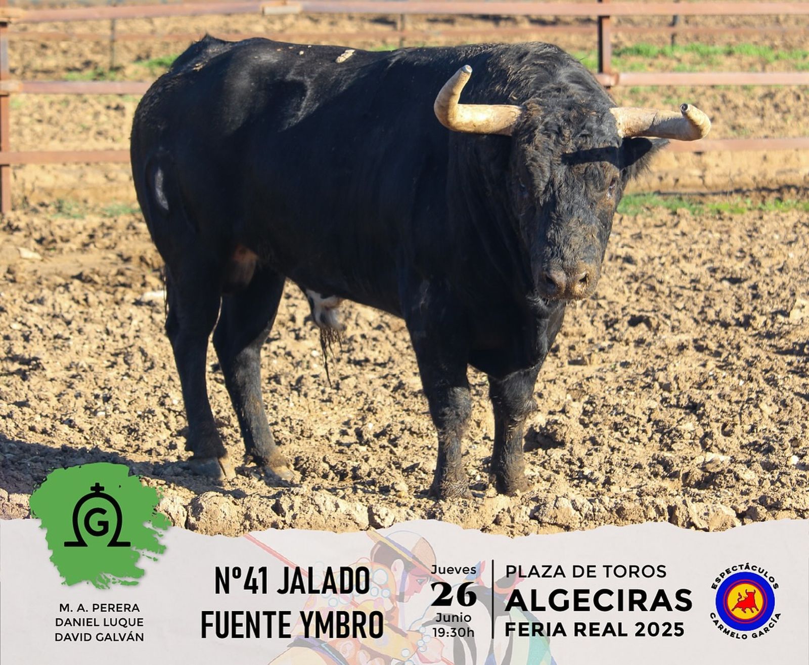Así son los toros de Fuente Ymbro que se lidiarán este jueves en la plaza de toros de Algeciras