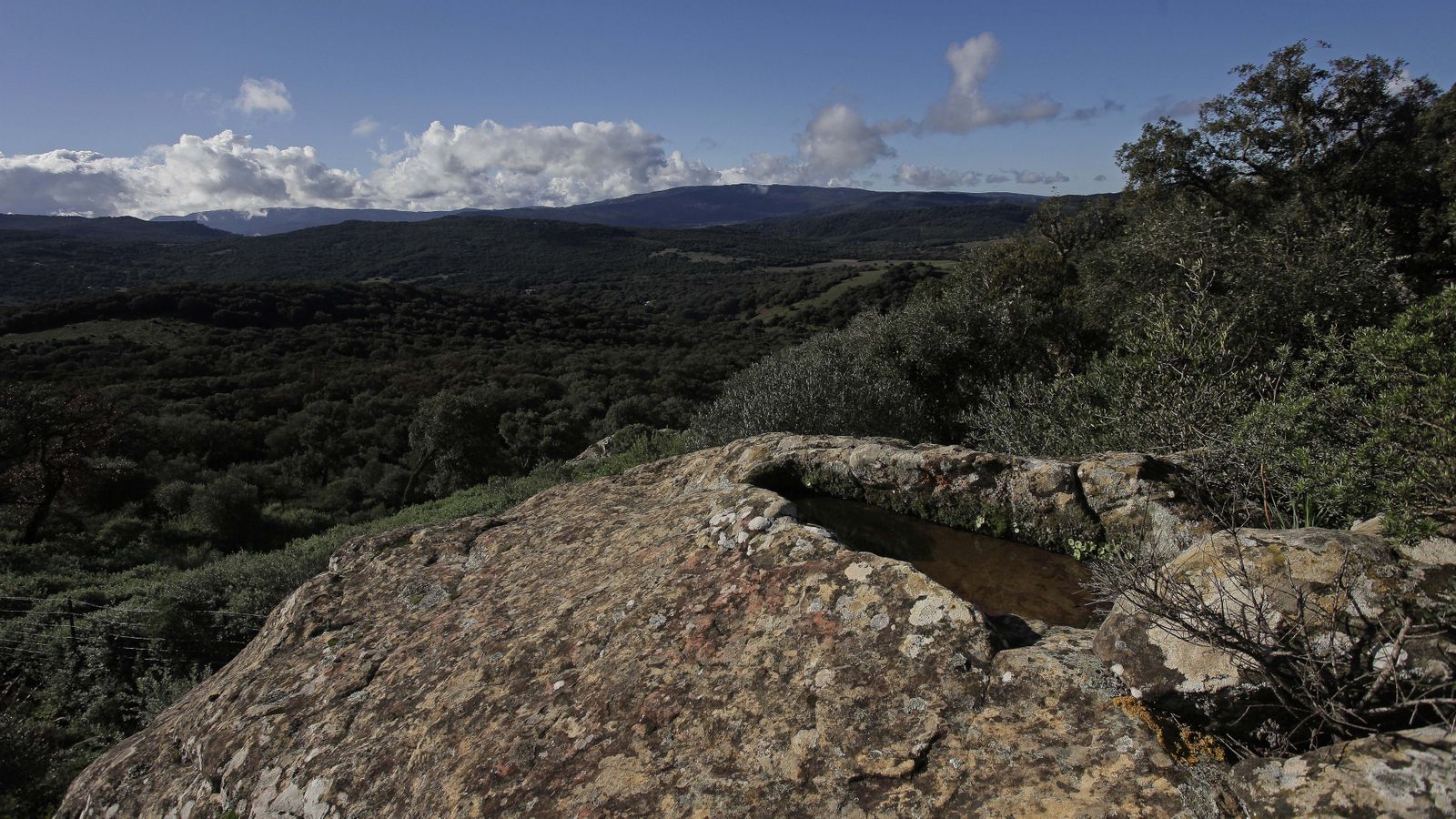 Sendero de la finca Murta en Los Barrios