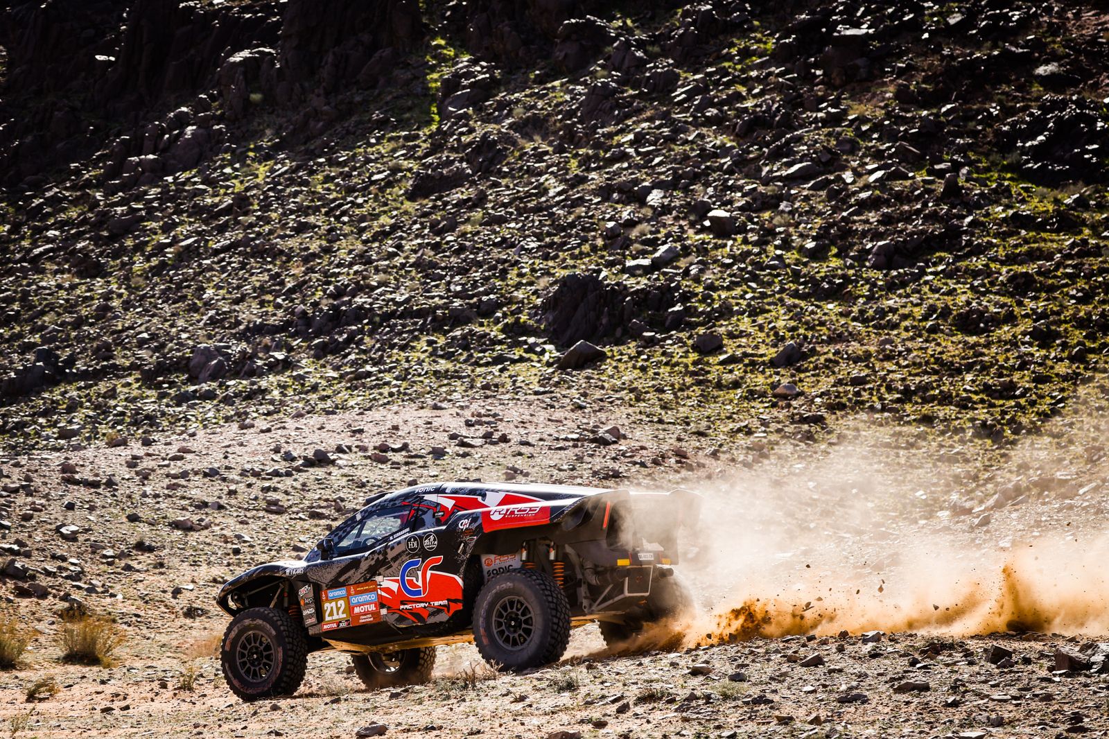 La etapa 9 del Rally Dakar, en fotos