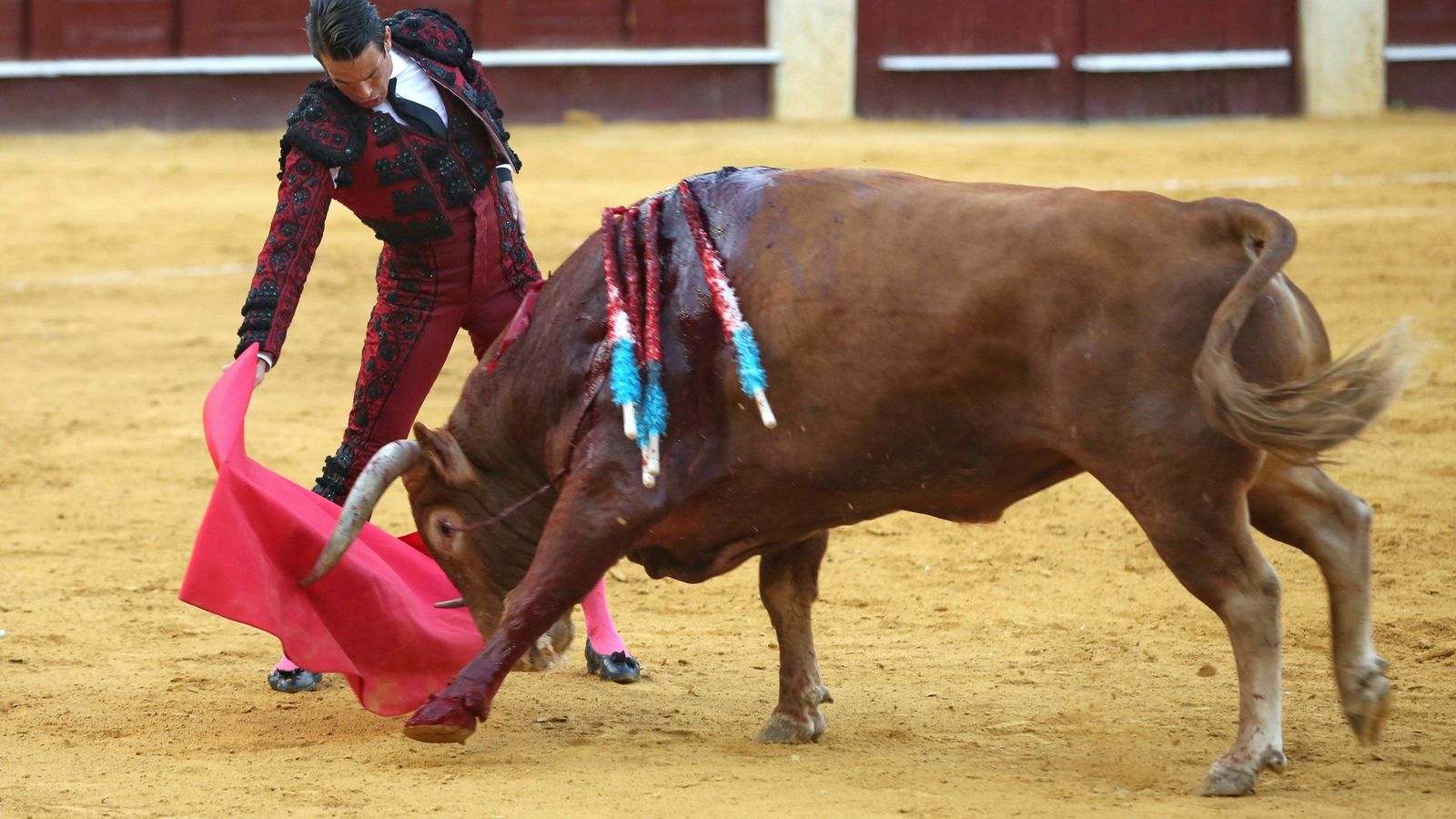 José María Manzanares será el único diestro que actúe dos tardes.
