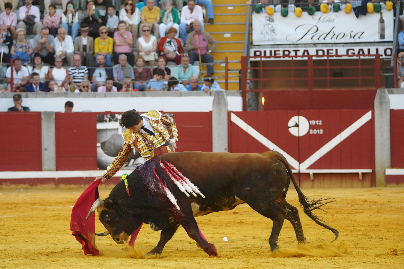 El triunfo de Rocío Romero, Manzanares y Roca Rey en la plaza de toros Pozoblanco, en imágenes