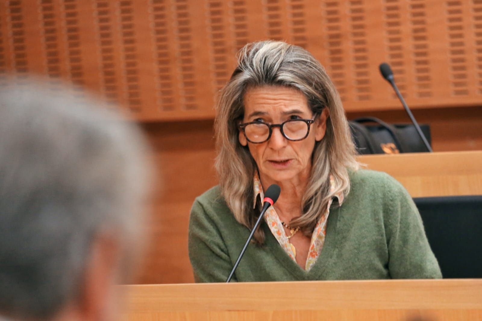 Danuxia Enciso, en el pleno extraordinario celebrado este viernes.