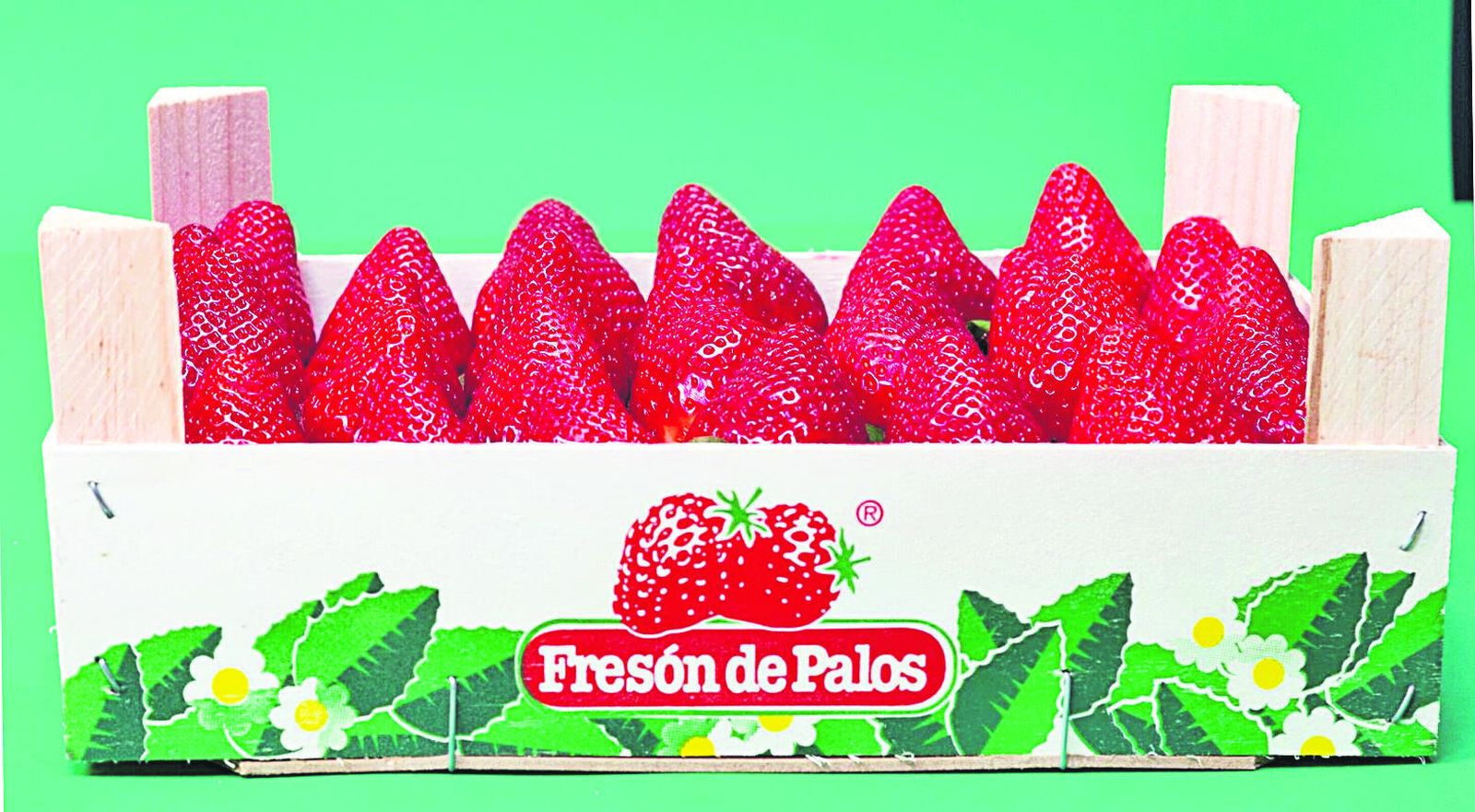 Fresón de Palos.