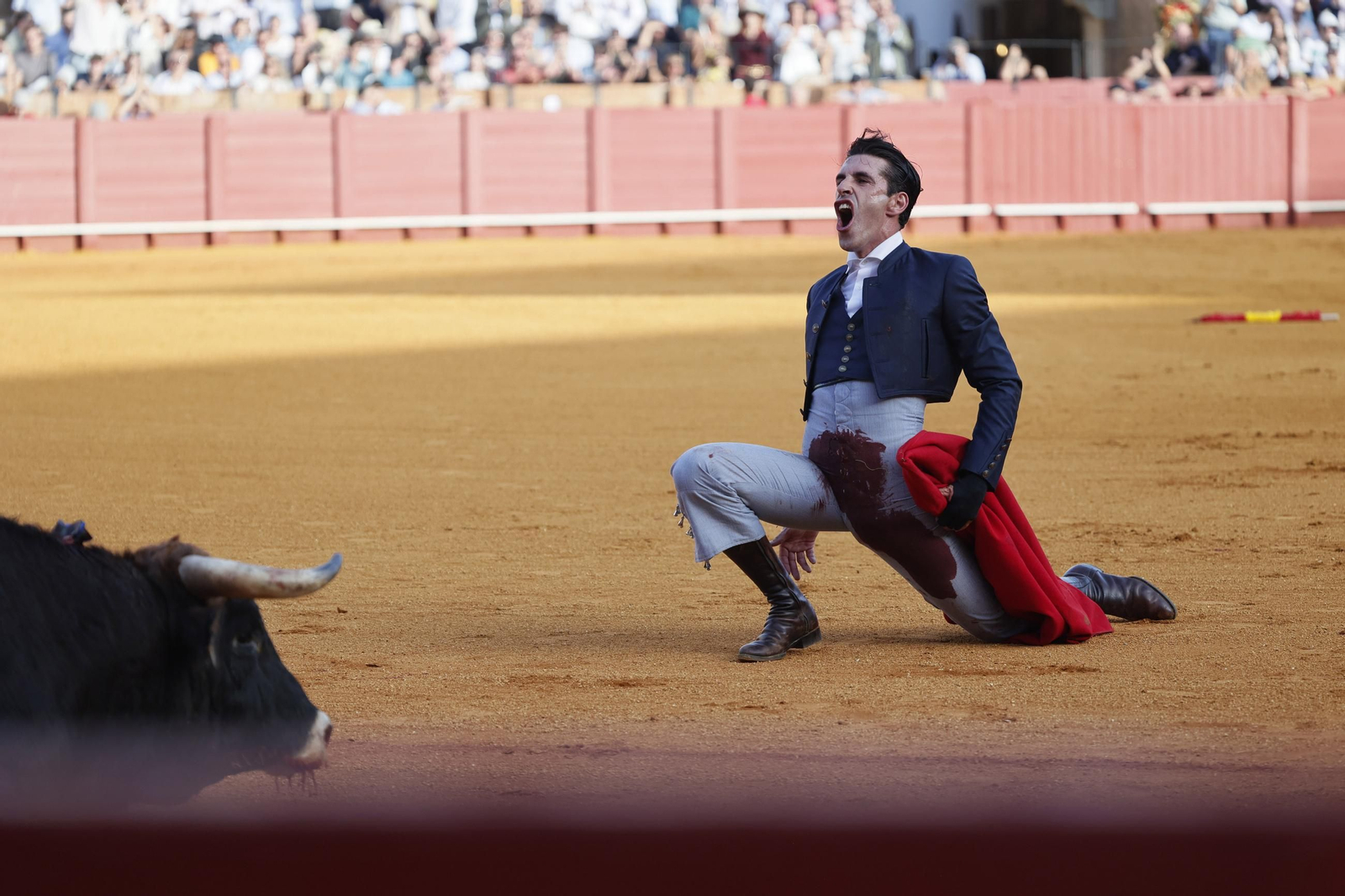 Las imágenes del festival taurino en la Maestranza