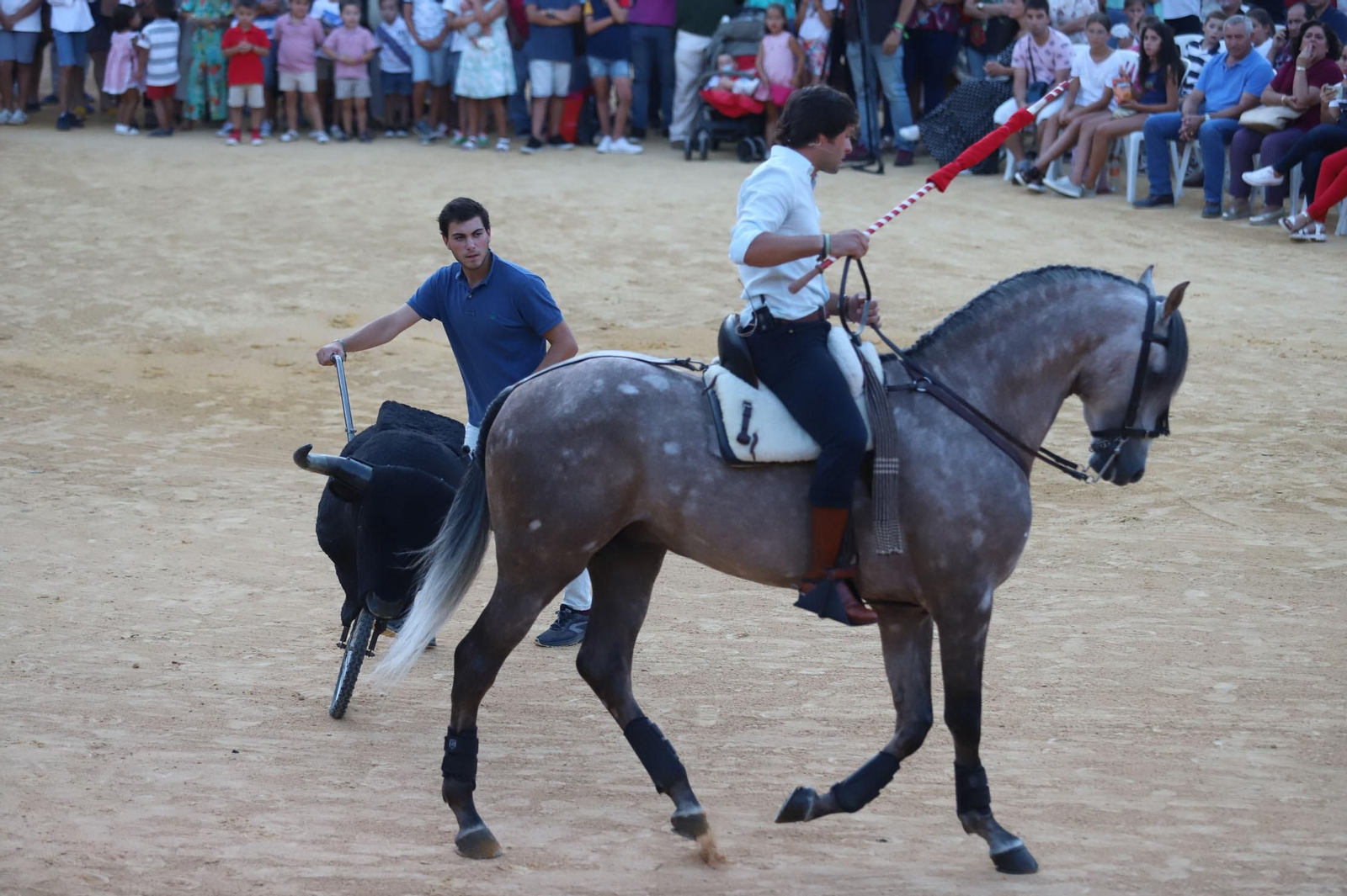 Imágenes de la clase de rejoneo de Andrés Romero en la Plaza de Toros