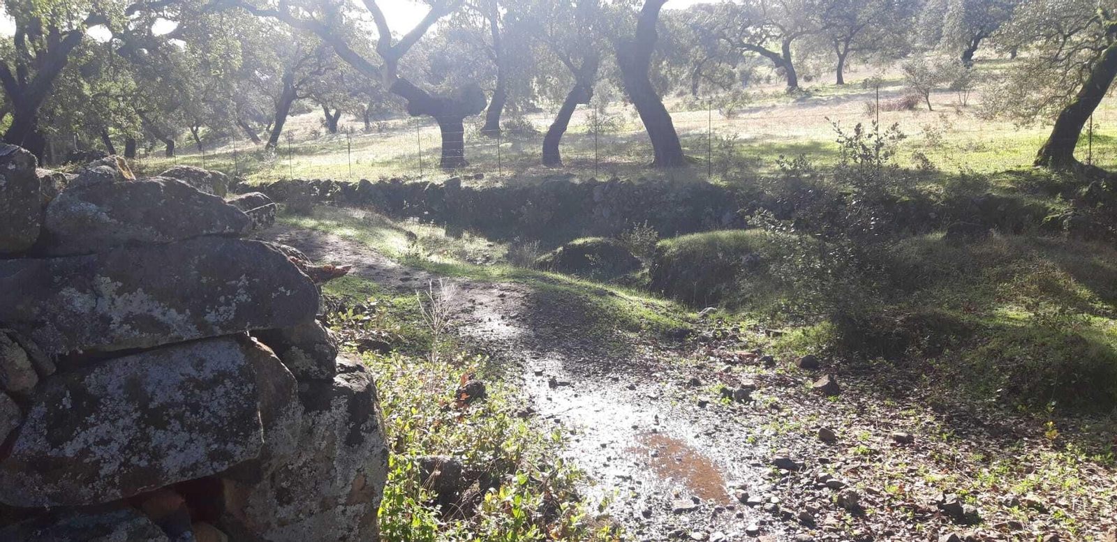 Otra imagen de un callejón.
