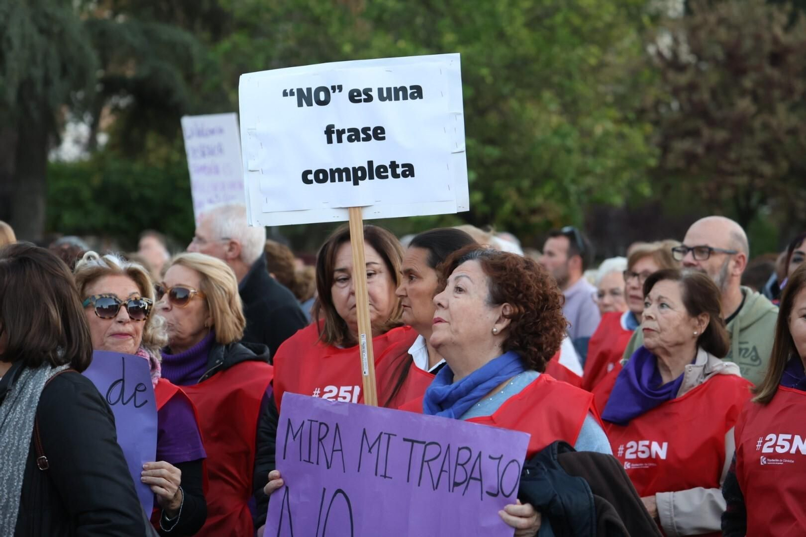 La manifestación del 25N en Córdoba, en imágenes