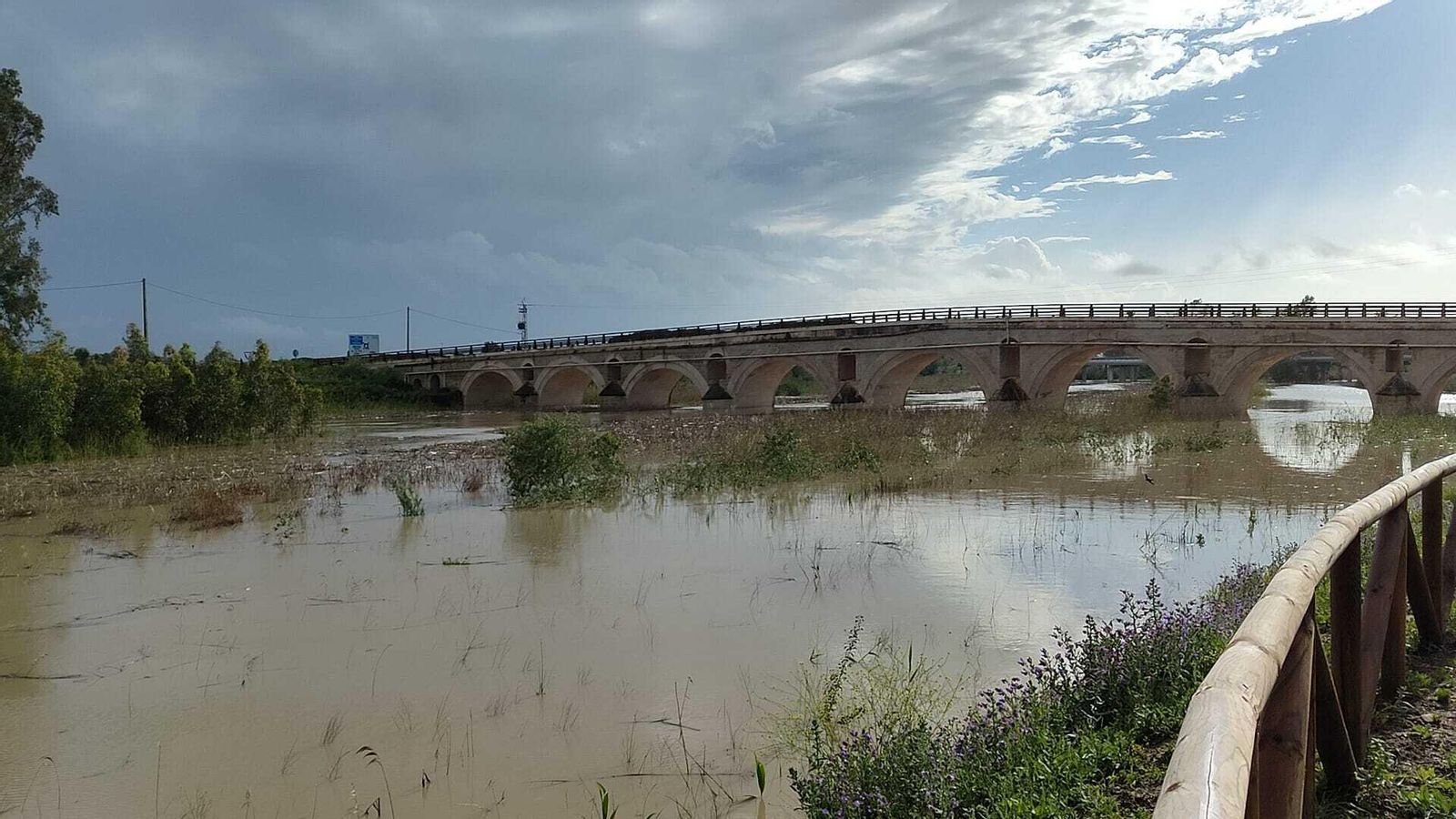 Puente de la Cartuja, en Jerez, ayer domingo.
