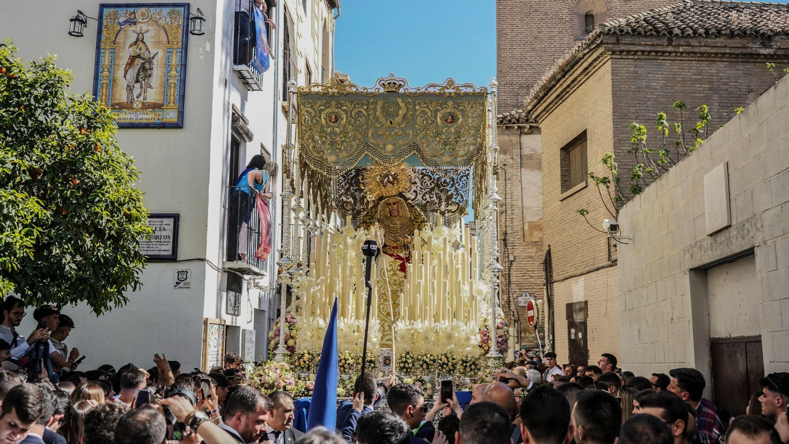 Nuestra Señora de la Paz en la Calle Elvira, Domingo de Ramos 2023