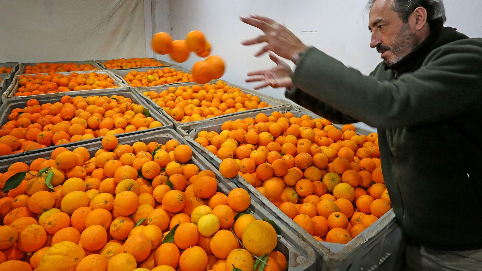 El citricultor y mayorista jerezano junto al cargamento de naranjas para su venta al por mayor.