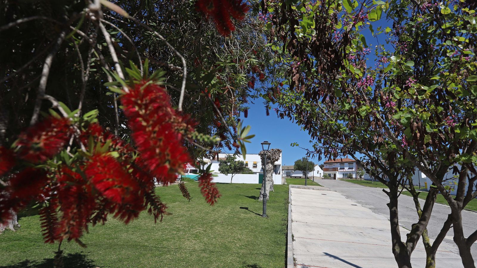 Fotos del confinamiento por el estado de alarma en Castellar