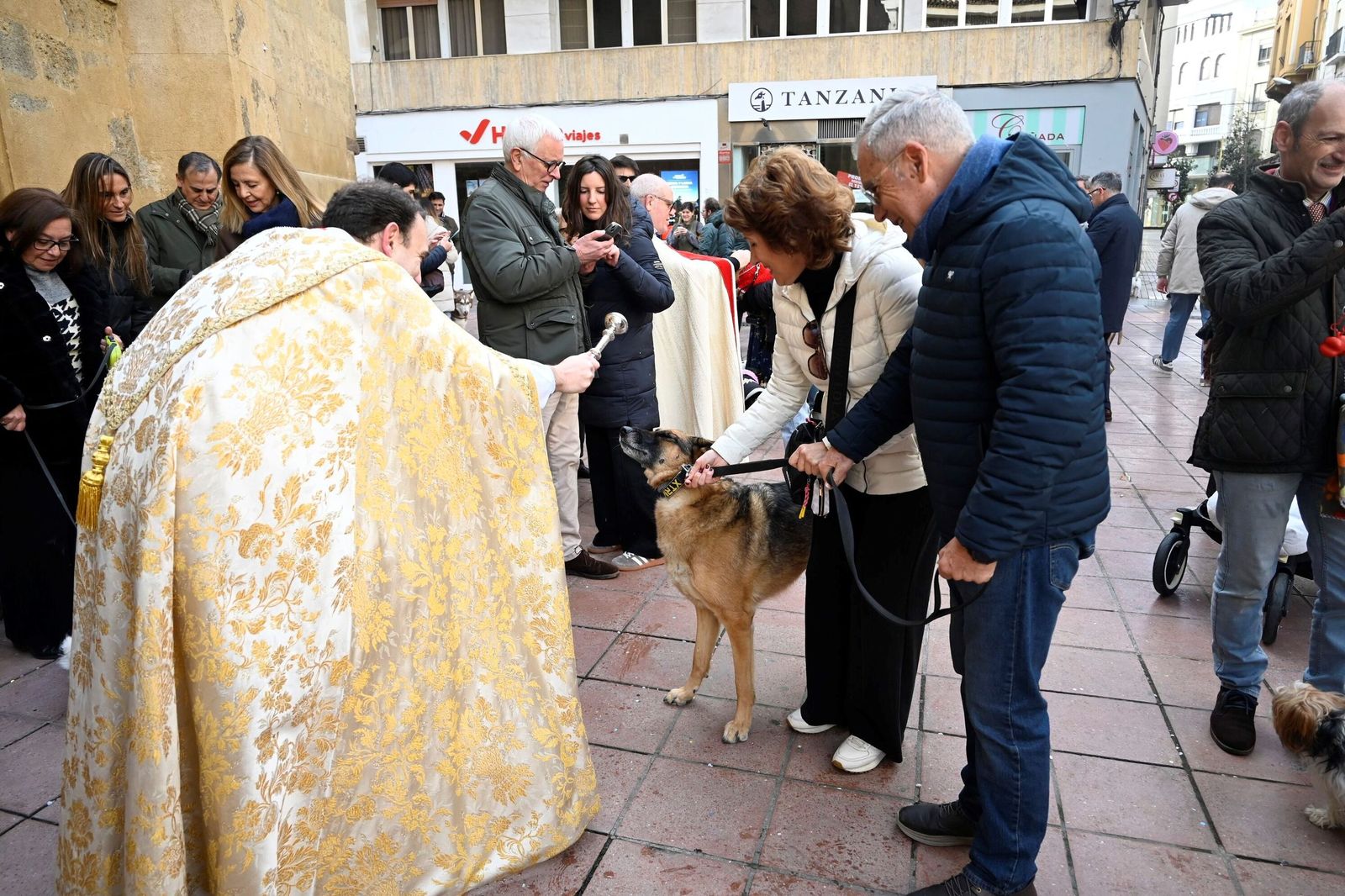 La bendición de animales por San Antón en Córdoba