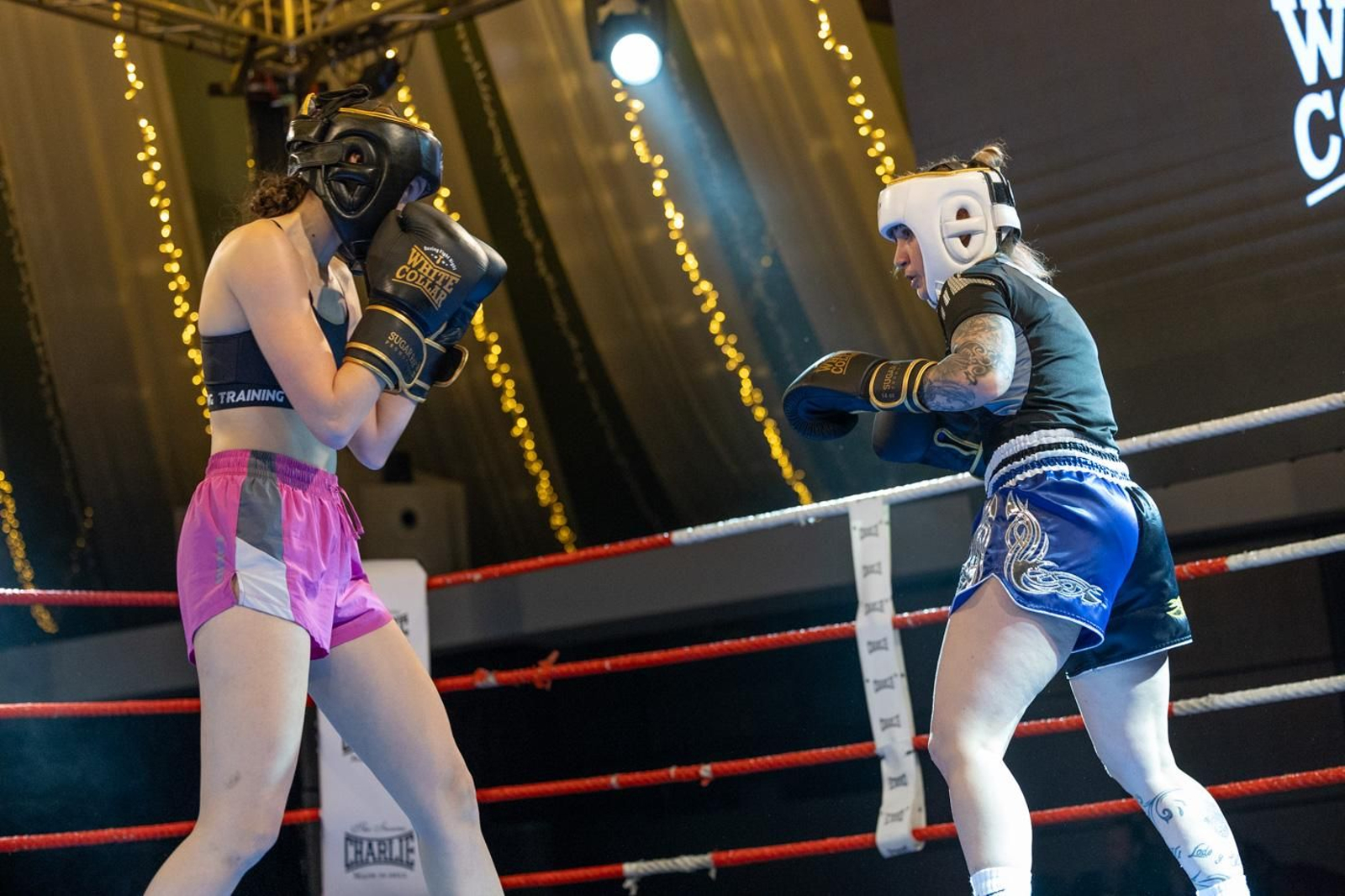 El boxeo solidario de la VI velada White Collar Boxing cautiva al público de Jaén