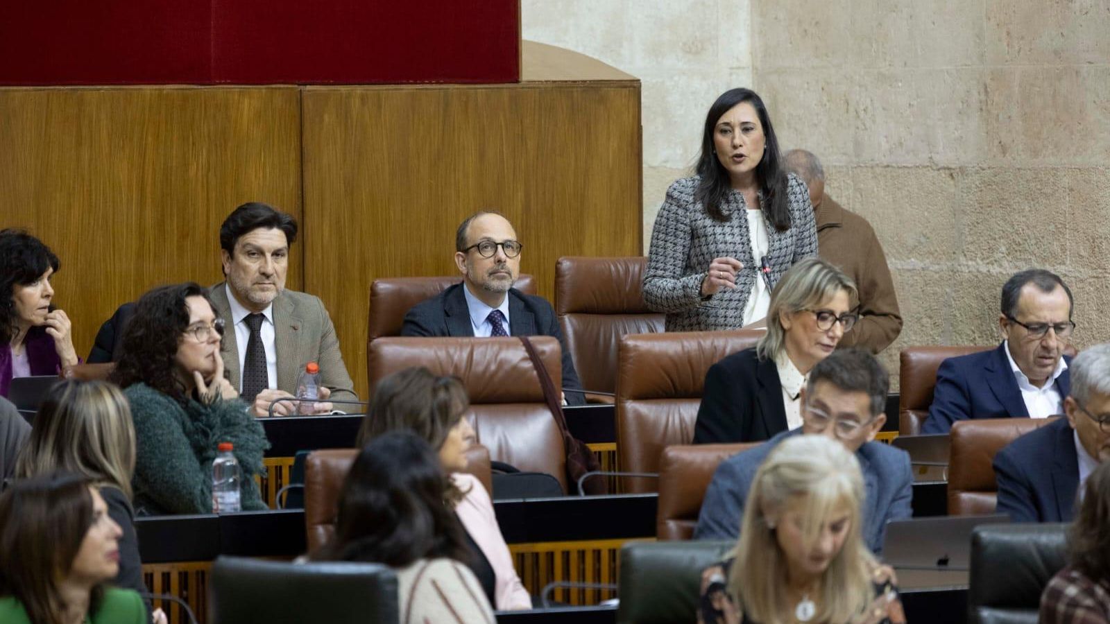 Rocío Arrabal, en el debate en el Pleno del Parlamento.