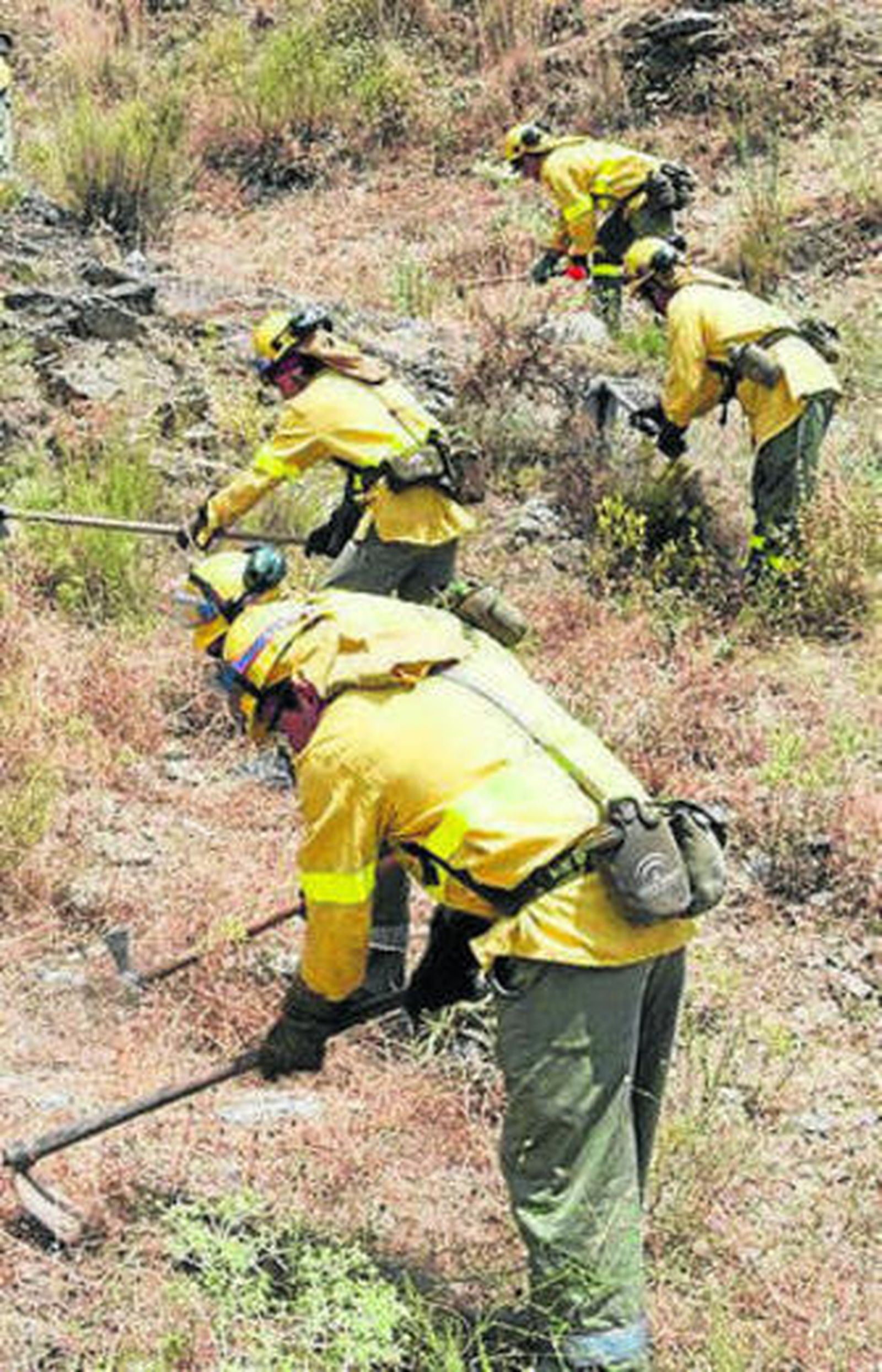 Personal limpiando cortafuegos.