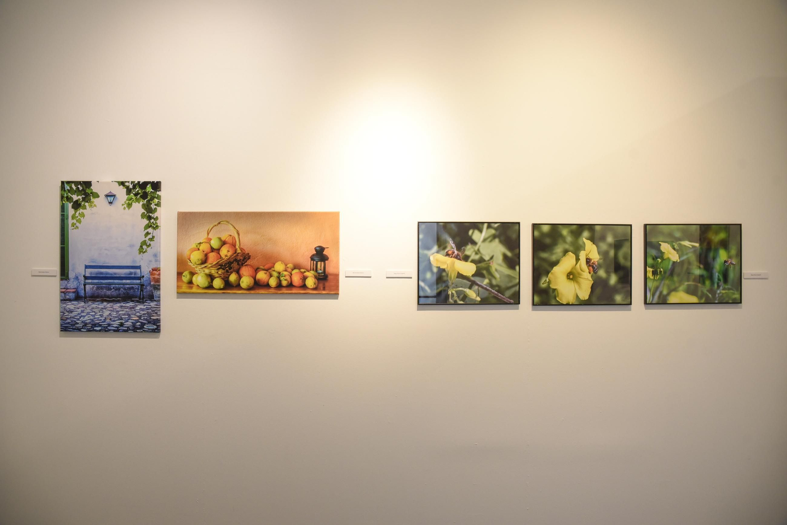 Fotos de la exposición colectiva de fotografías de Afal en La Línea