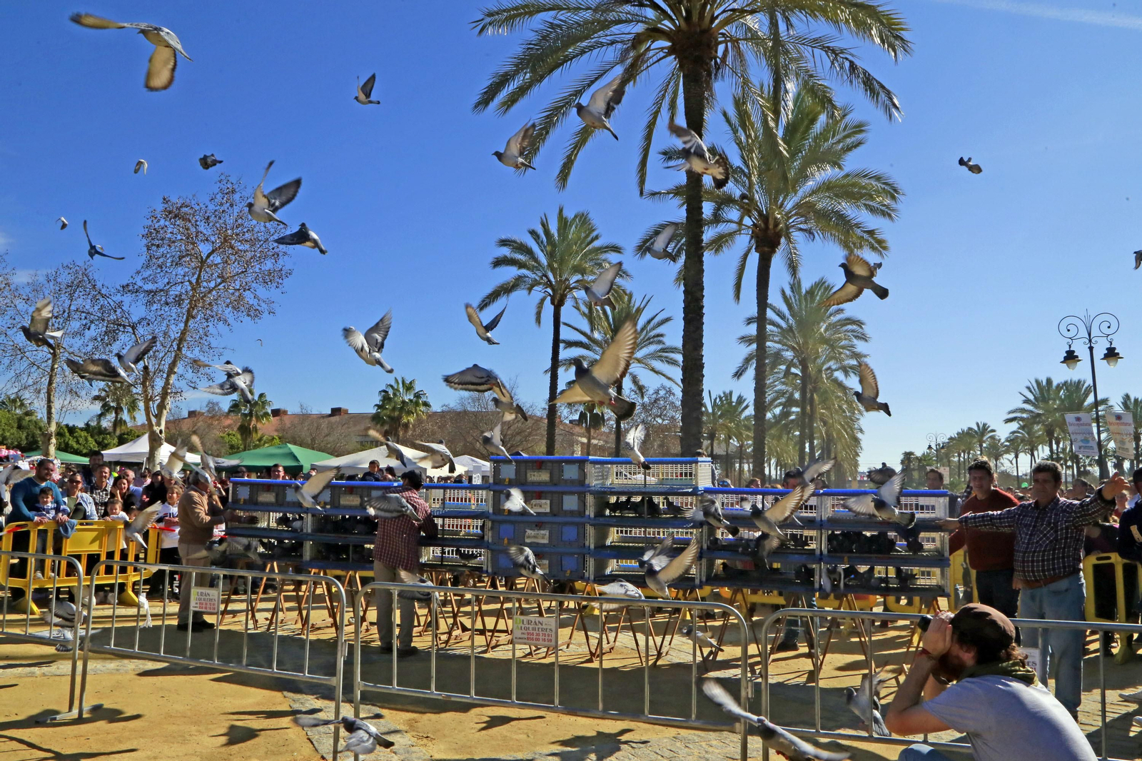 Imágenes de San Antón 2020 en Jerez