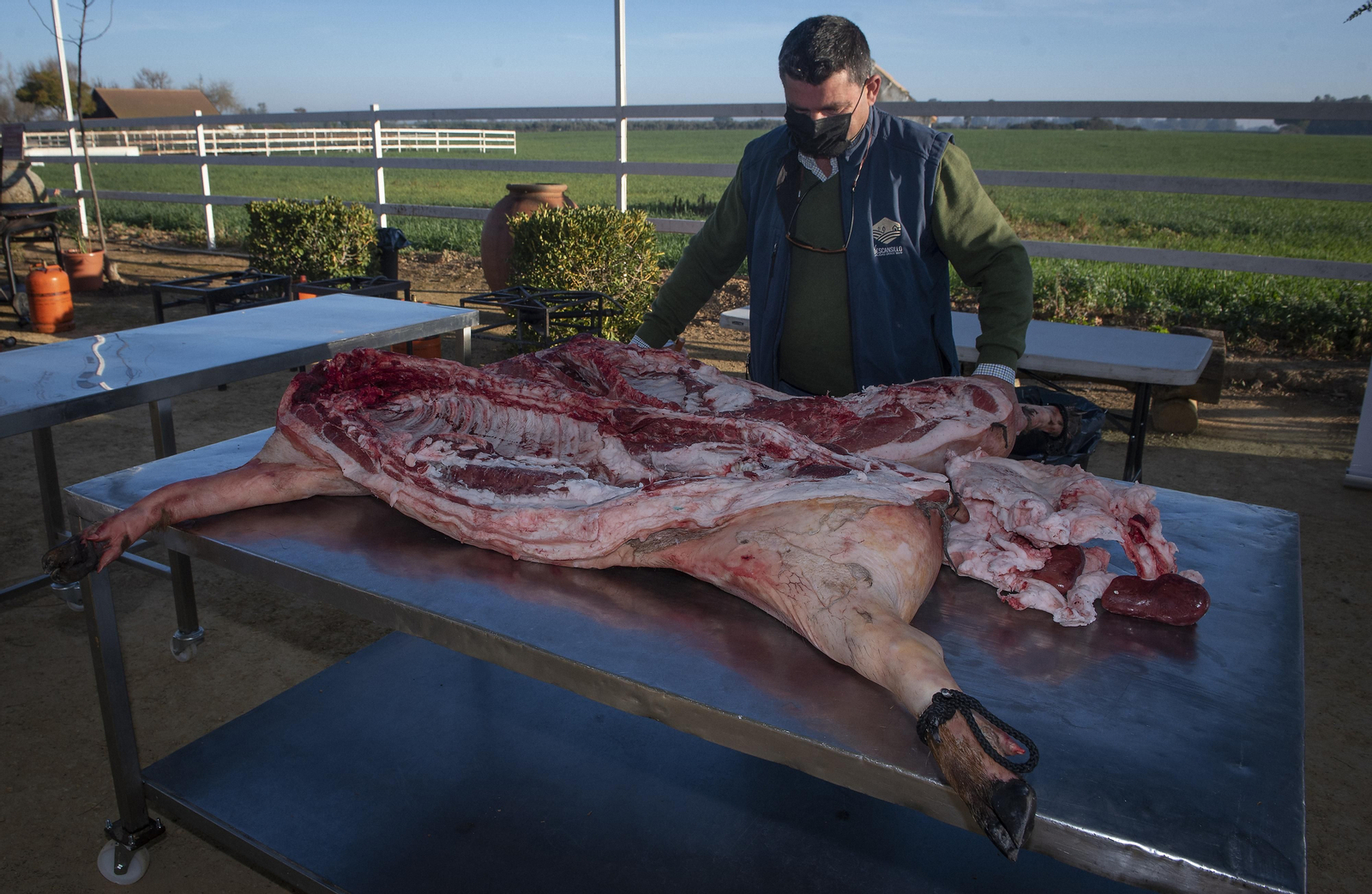 Un día de matanza en una finca sevillana