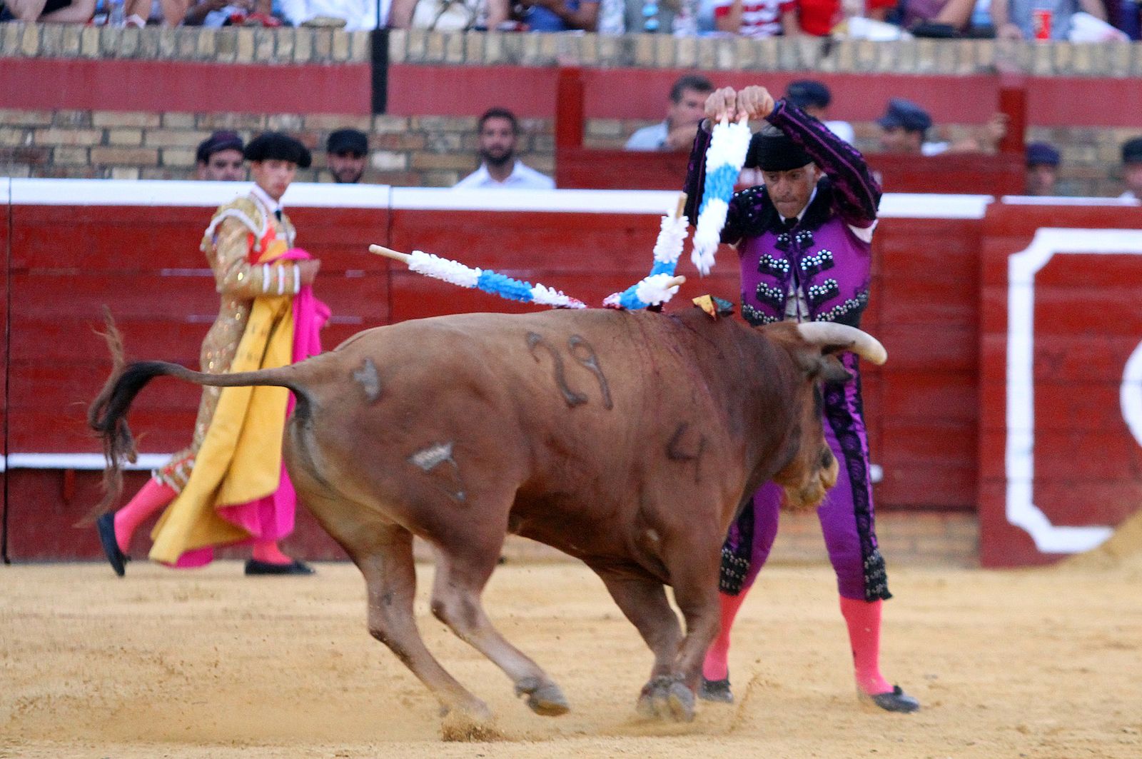 Imágenes de la Novillada de Rafael Serna, Emilio Silvera y Rodrigo Molina.