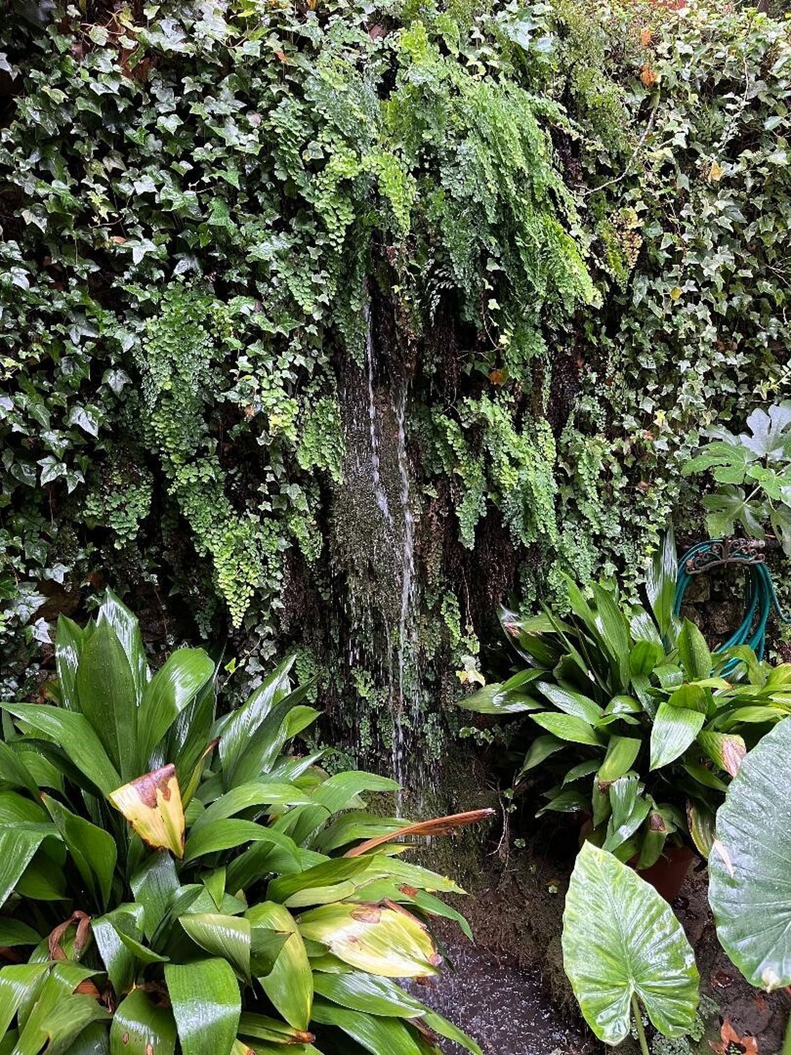 Las imágenes de la casa Batán de Lara en Benamahoma