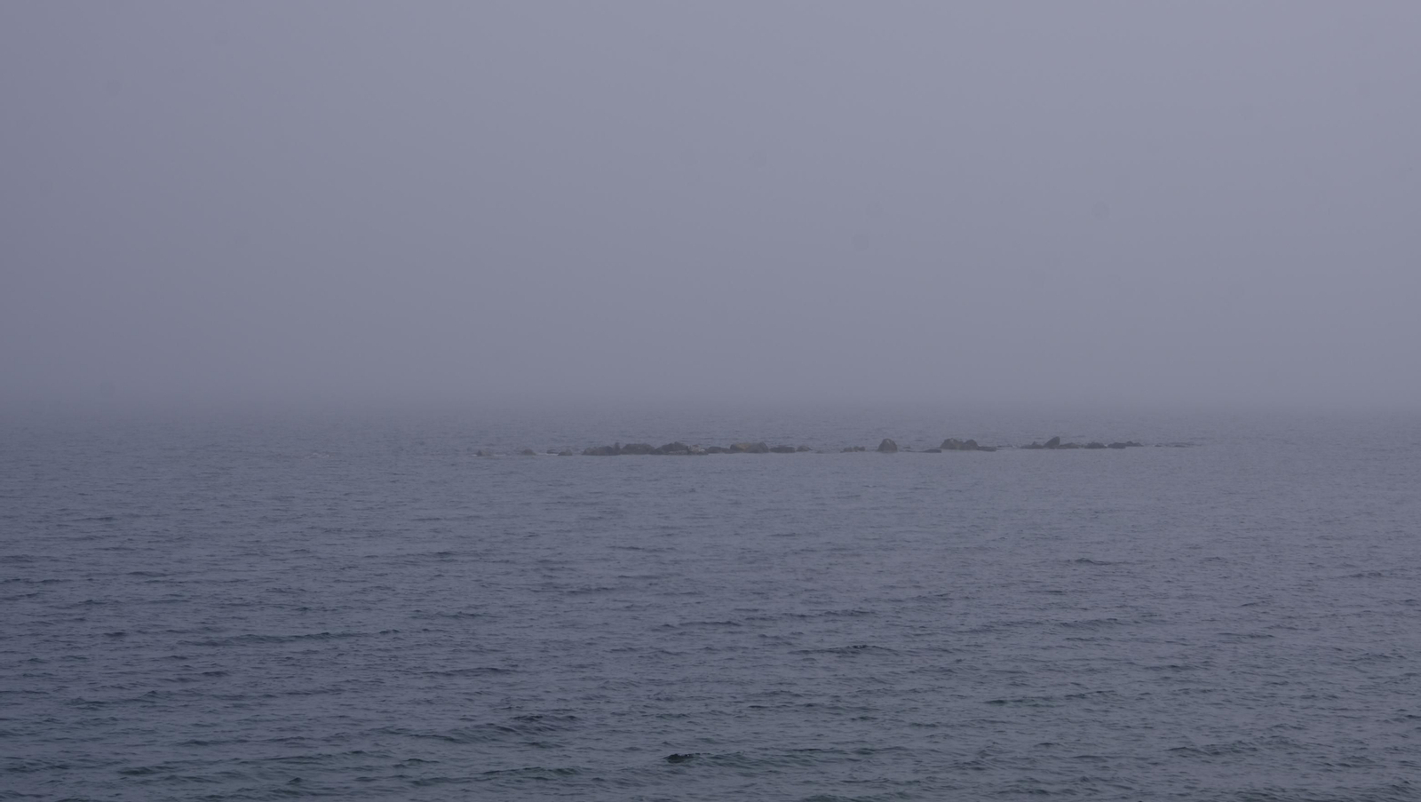 Imágenes de la Feria de la Gamba Roja de Garrucha