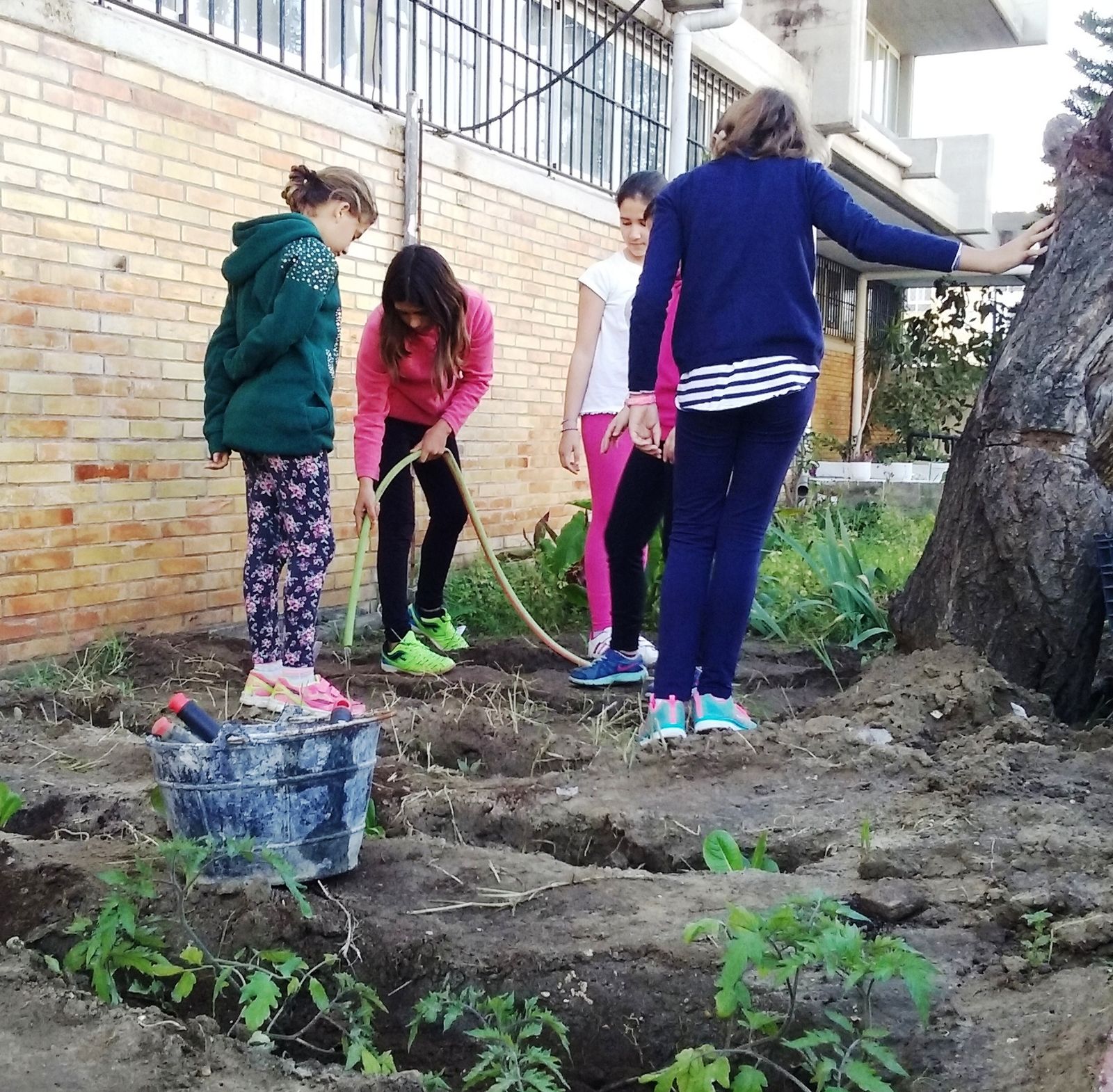 El alumnado, cuidando de uno de los huertos escolares del centro.