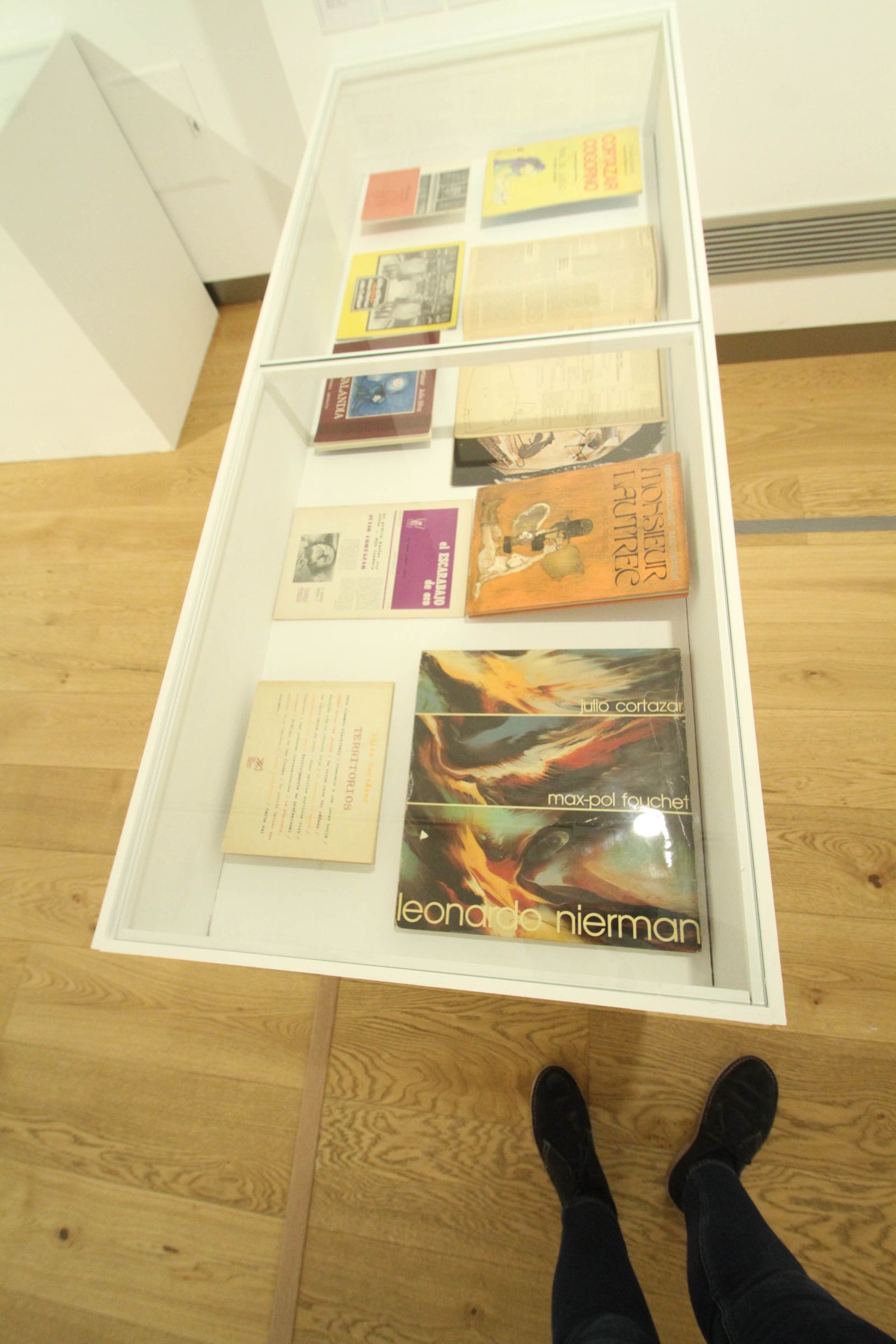 Las mejores imágenes de 'El universo de Julio Cortázar'