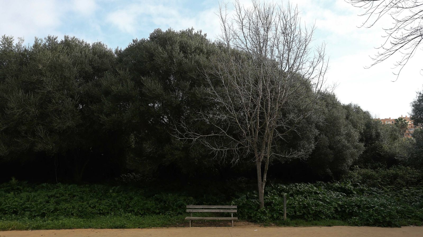Las mejores fotos del parque fluvial del Río Pícaro