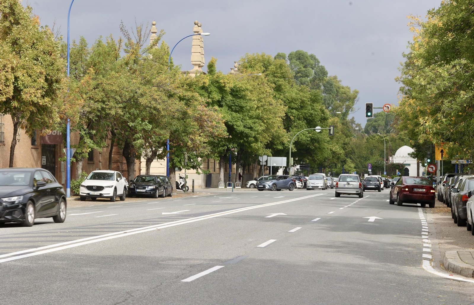 Apertura al tráfico de la Avenida de Las Razas