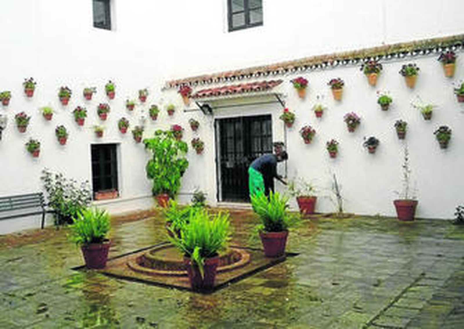 Aspecto que presenta el patio una vez colocadas las nuevas macetas.