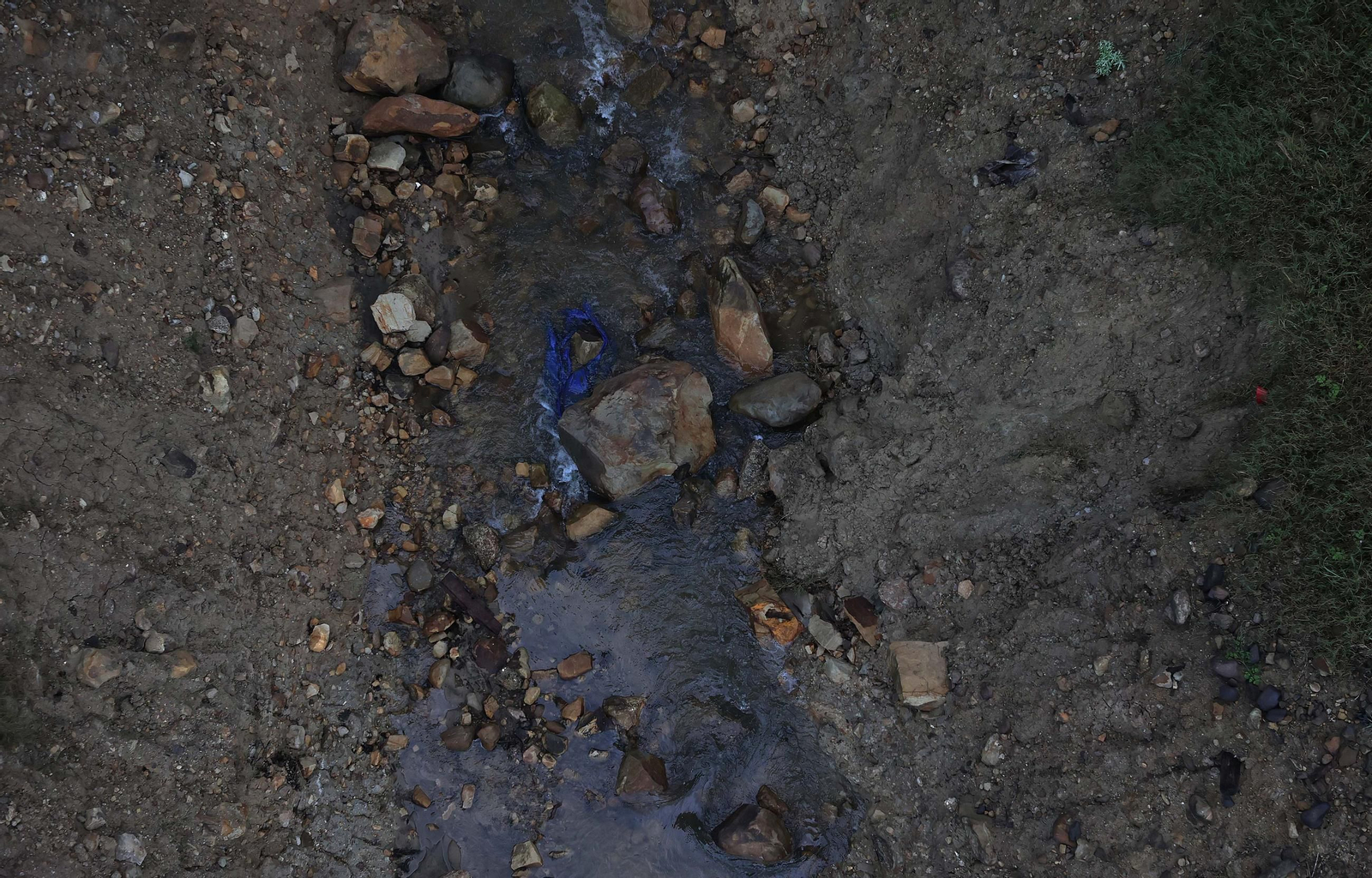 Fotos del pantano de Charco Redondo en Los Barrios