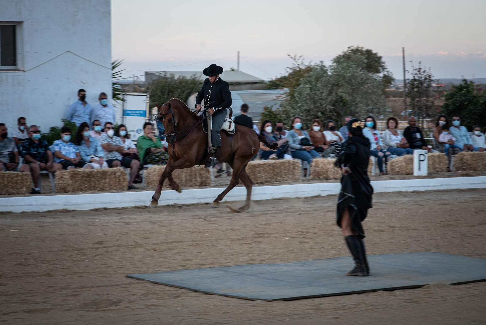 El espectáculo Flamencab en imágenes