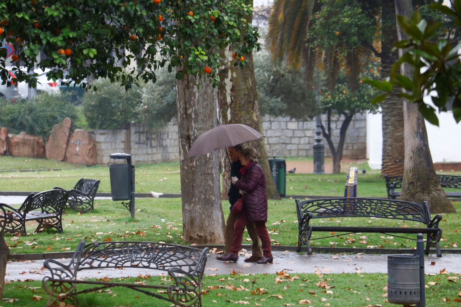 El paso de la borrasca Goretti por Córdoba