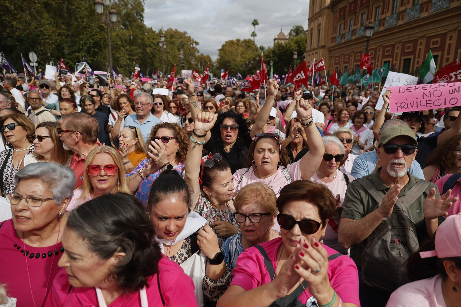 Las imágenes de la manifestación convocada por Amama
