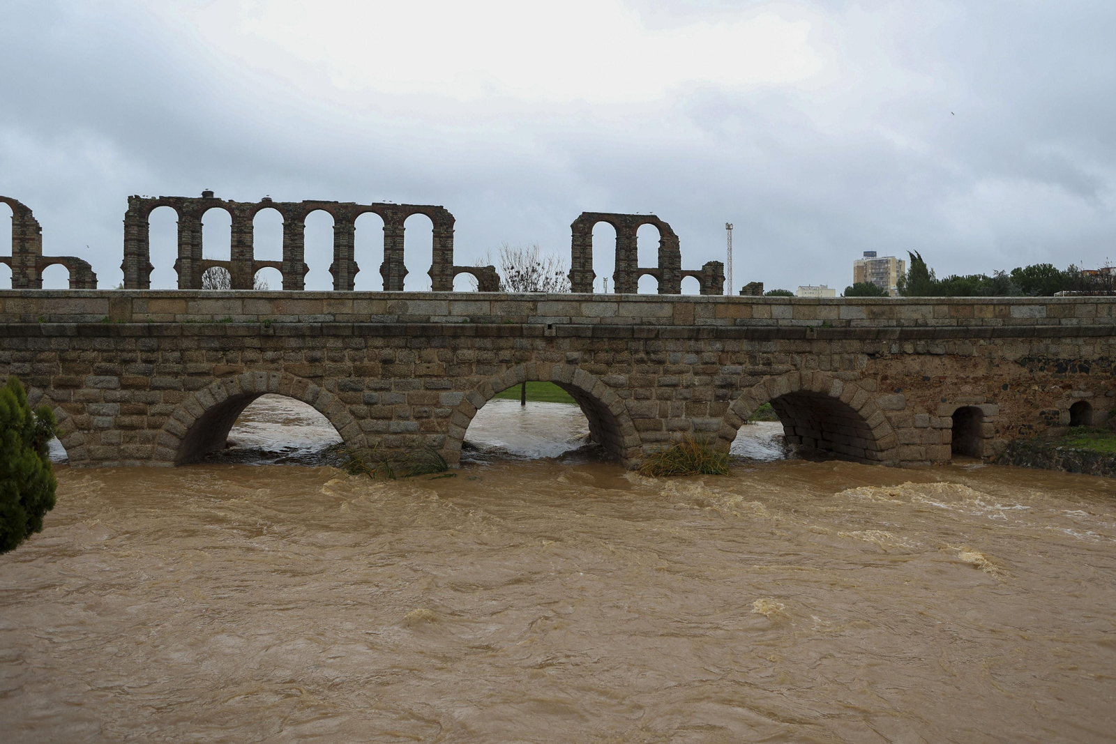 Ríos con alto caudal en Mérida. La cuenca del Guadiana se ha visto muy afectada.